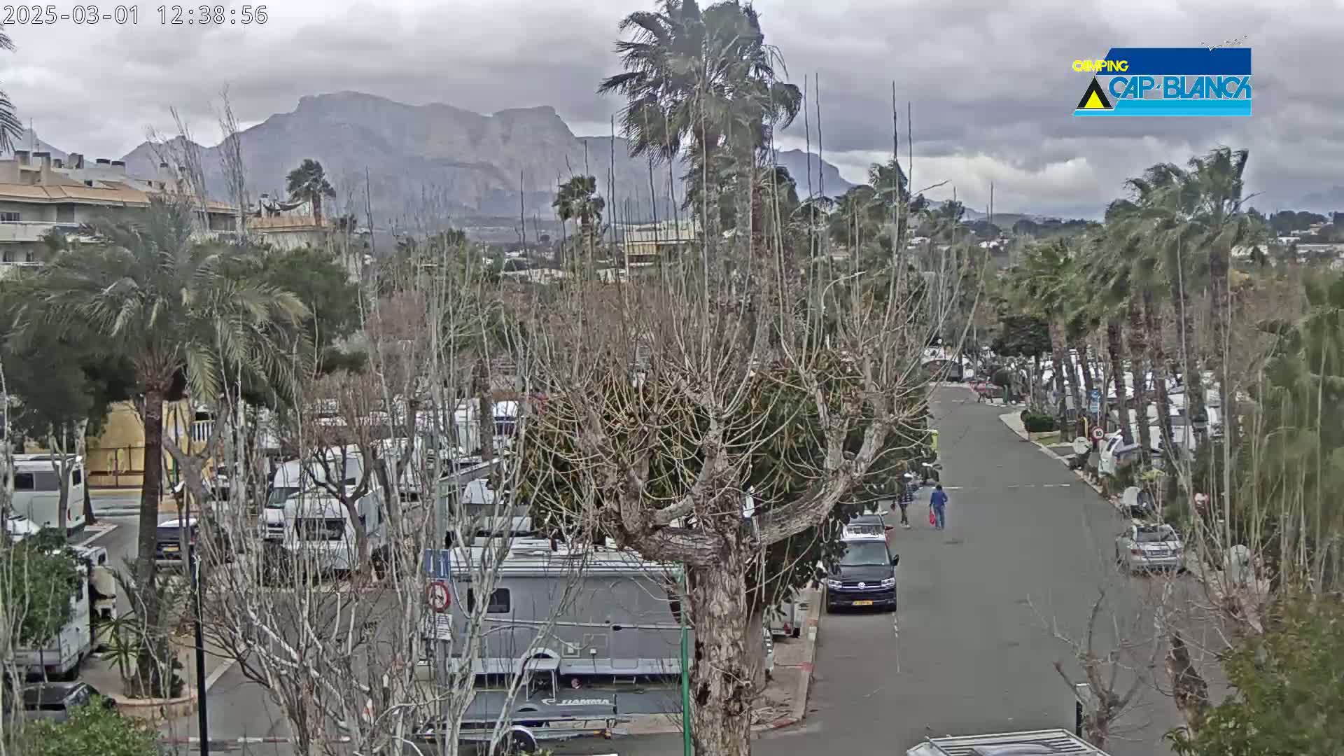 A street lined with RVs and palm trees under a cloudy sky, with mountains visible in the background.