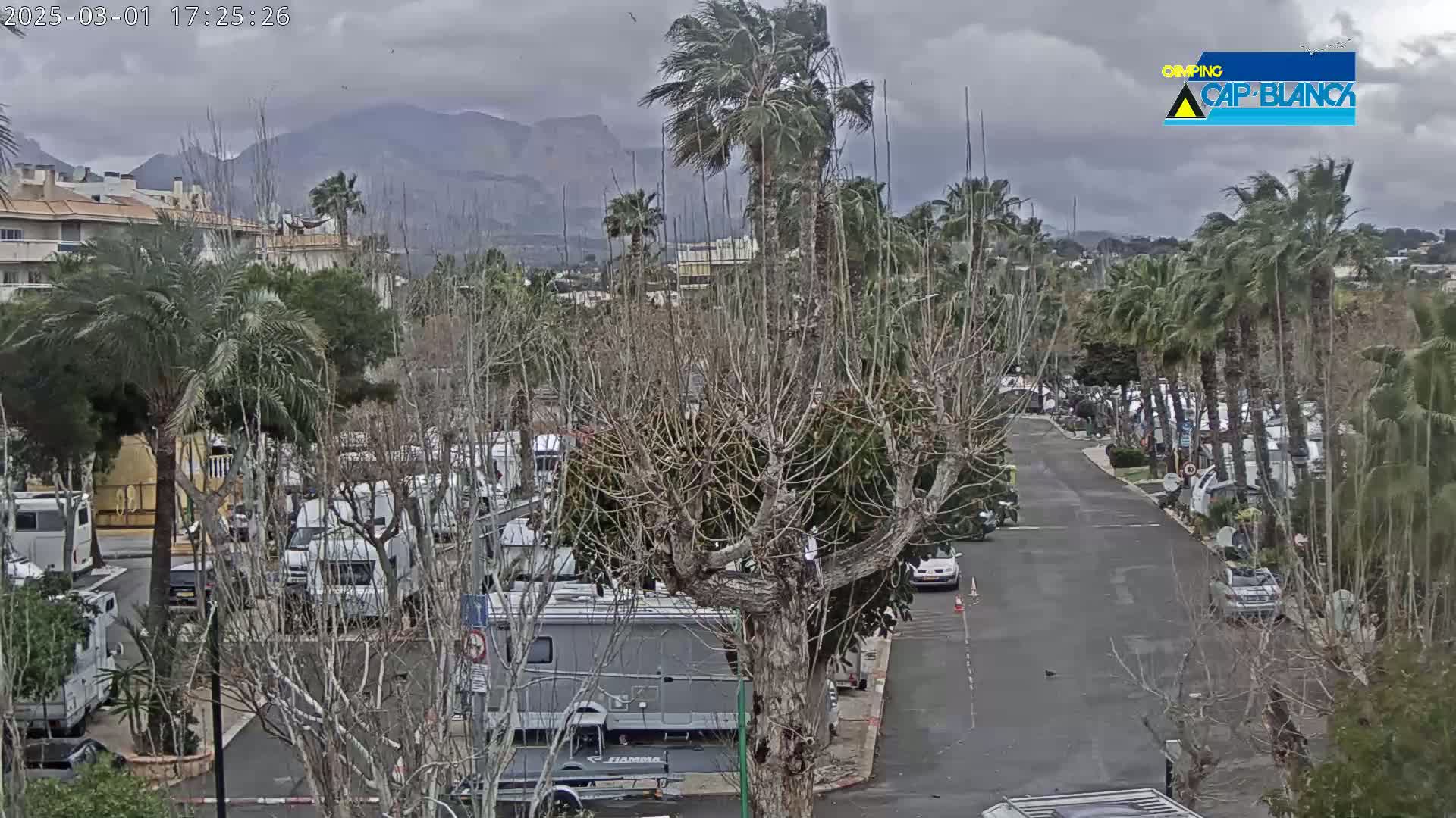 A parking lot filled with RVs and cars is surrounded by palm trees and bare trees under an overcast sky, with mountains visible in the distance.
