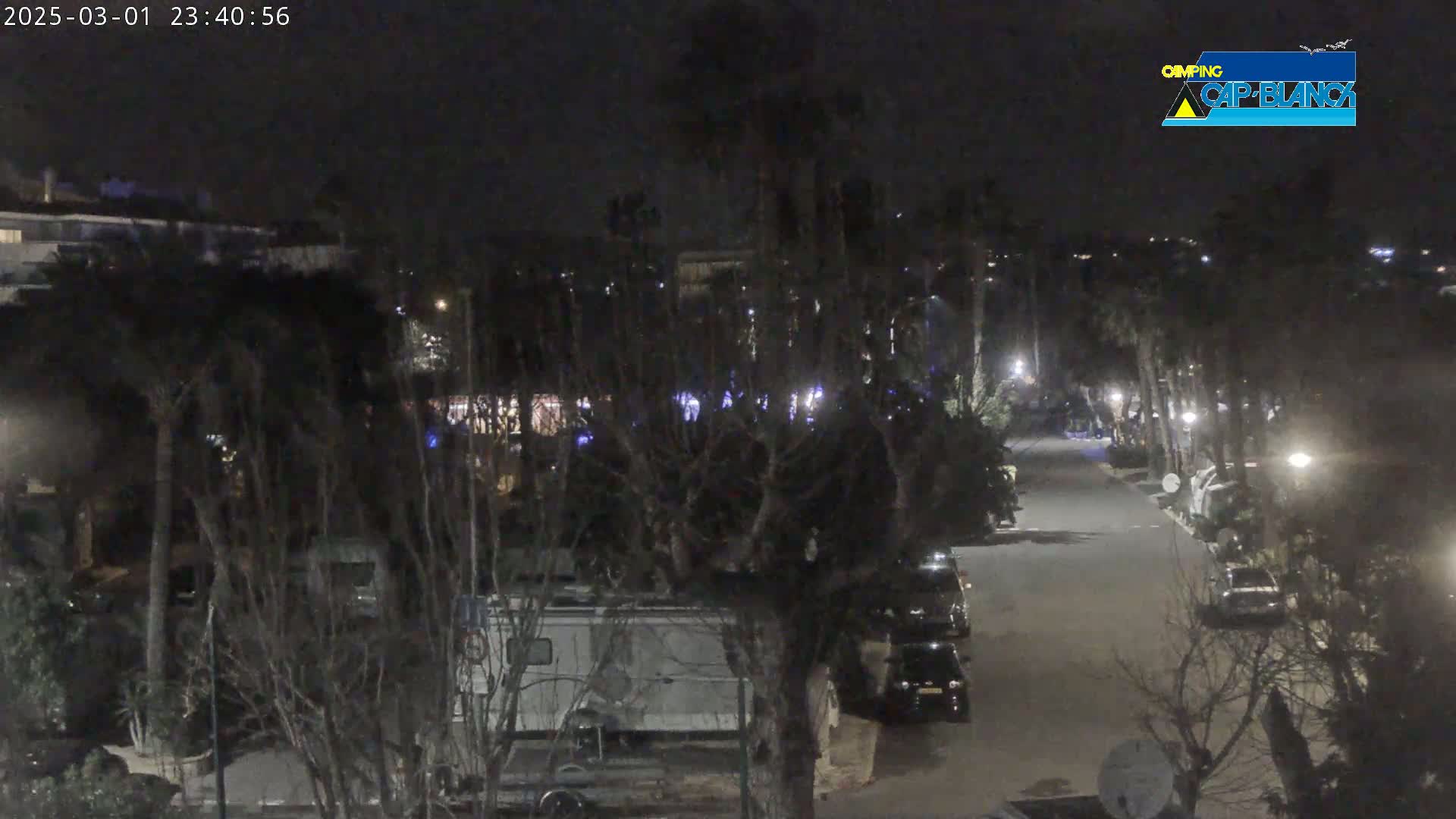 A nighttime view of a paved road lined with parked vehicles and trees, illuminated by streetlights.