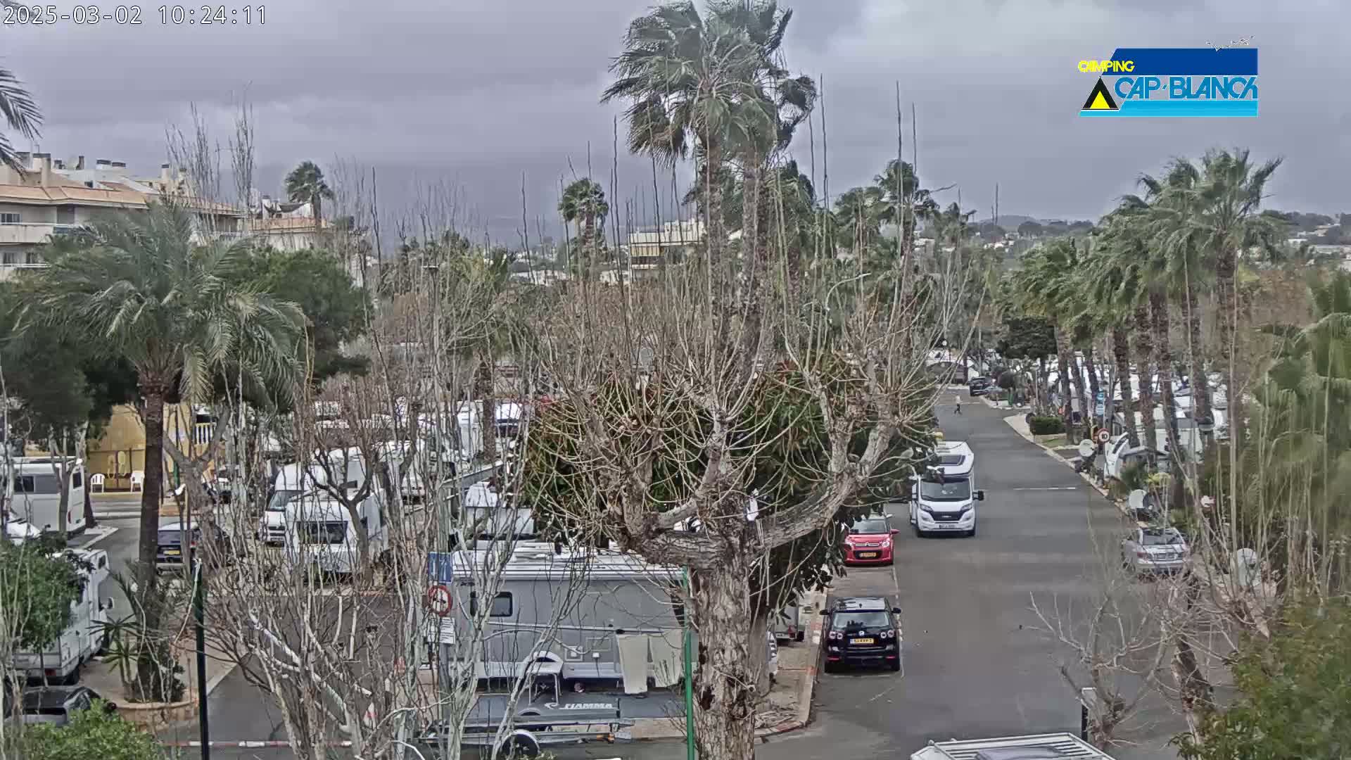 A campervan park with numerous RVs and cars is seen under an overcast sky, with palm trees swaying in the wind.