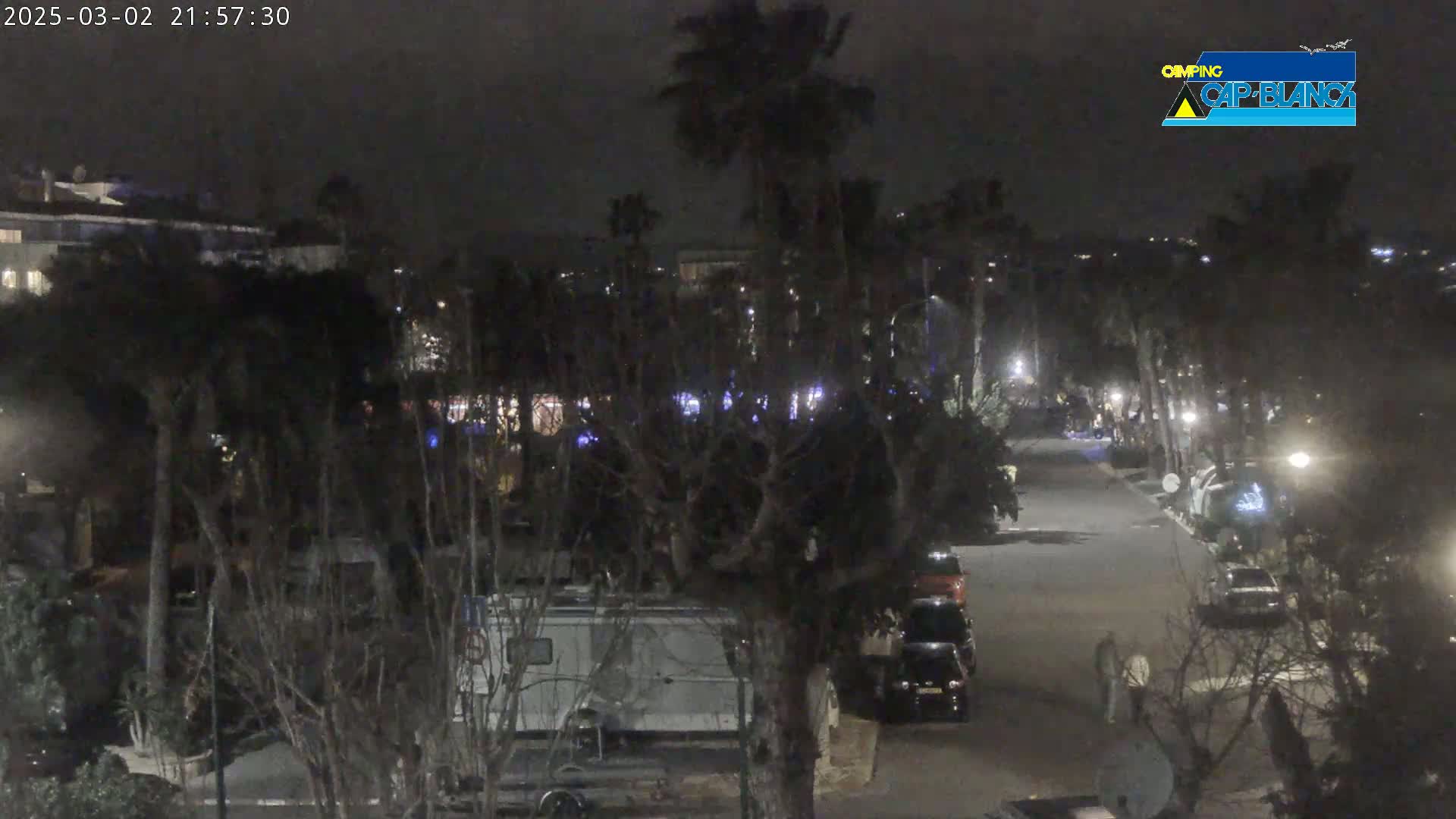 A nighttime view of a street lined with trees and parked cars, with a few people walking, under a dark sky.