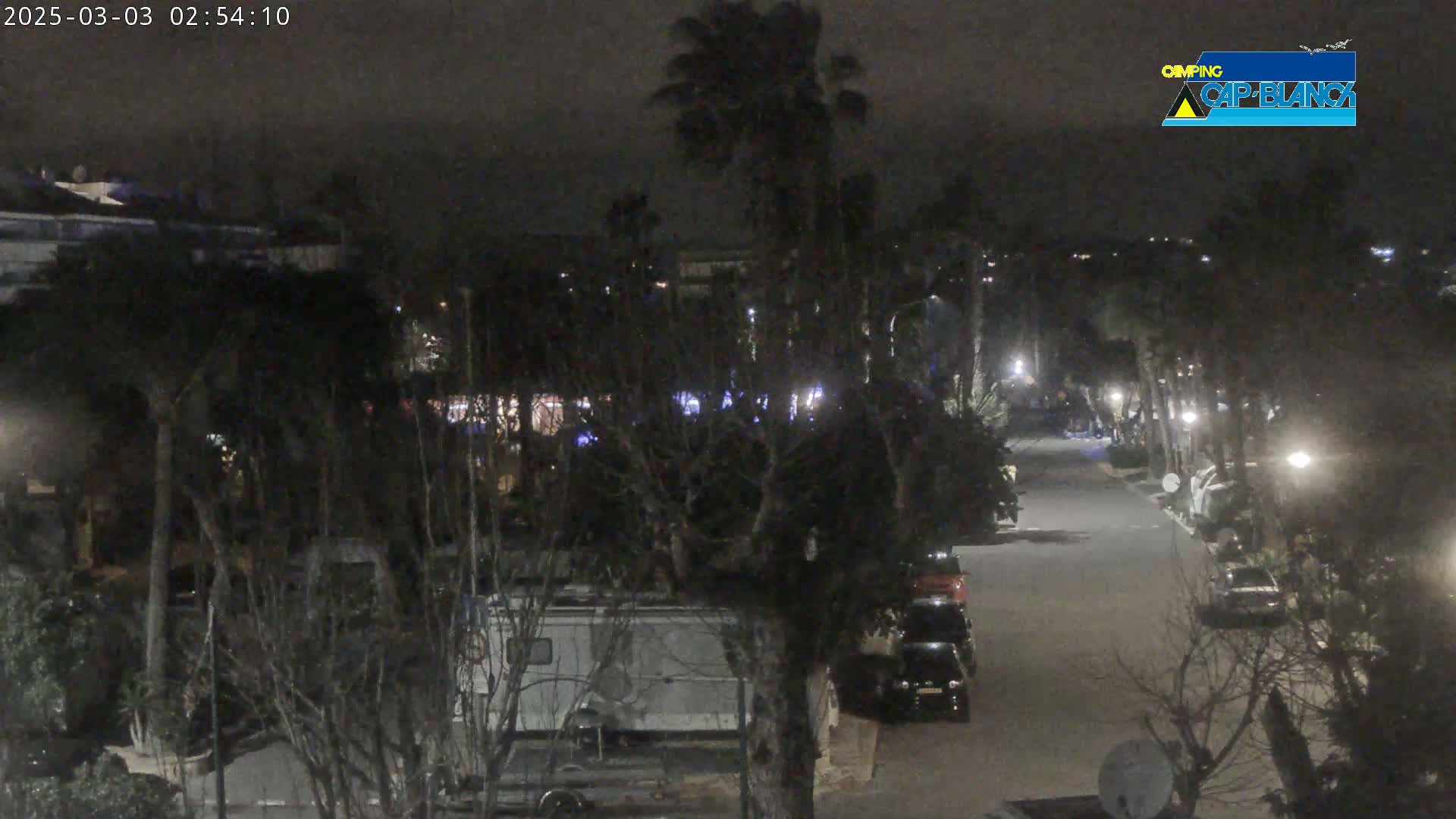 A nighttime, dimly lit street scene shows parked cars and a camper van among dark trees and buildings under a cloudy sky.