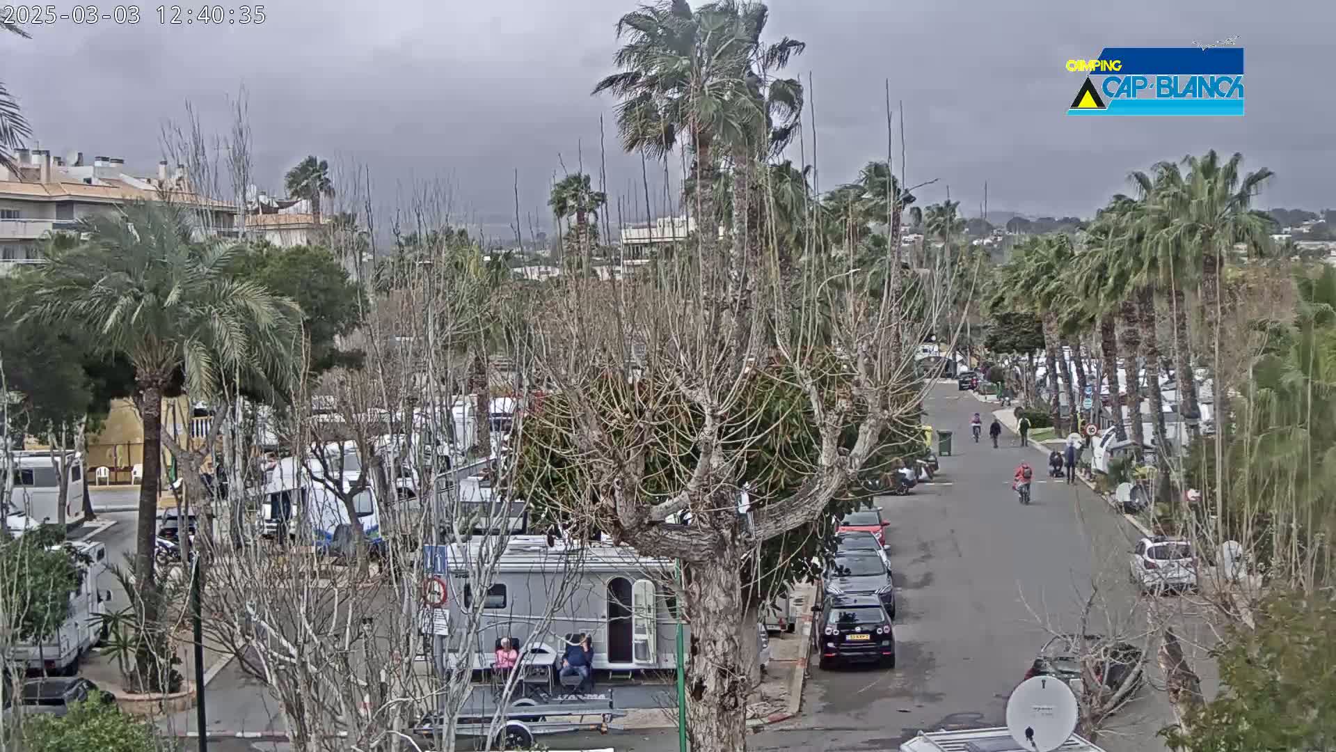 A street scene shows a parking lot full of RVs and cars under an overcast sky, with palm trees and bare deciduous trees lining a road where several people are walking and cycling.