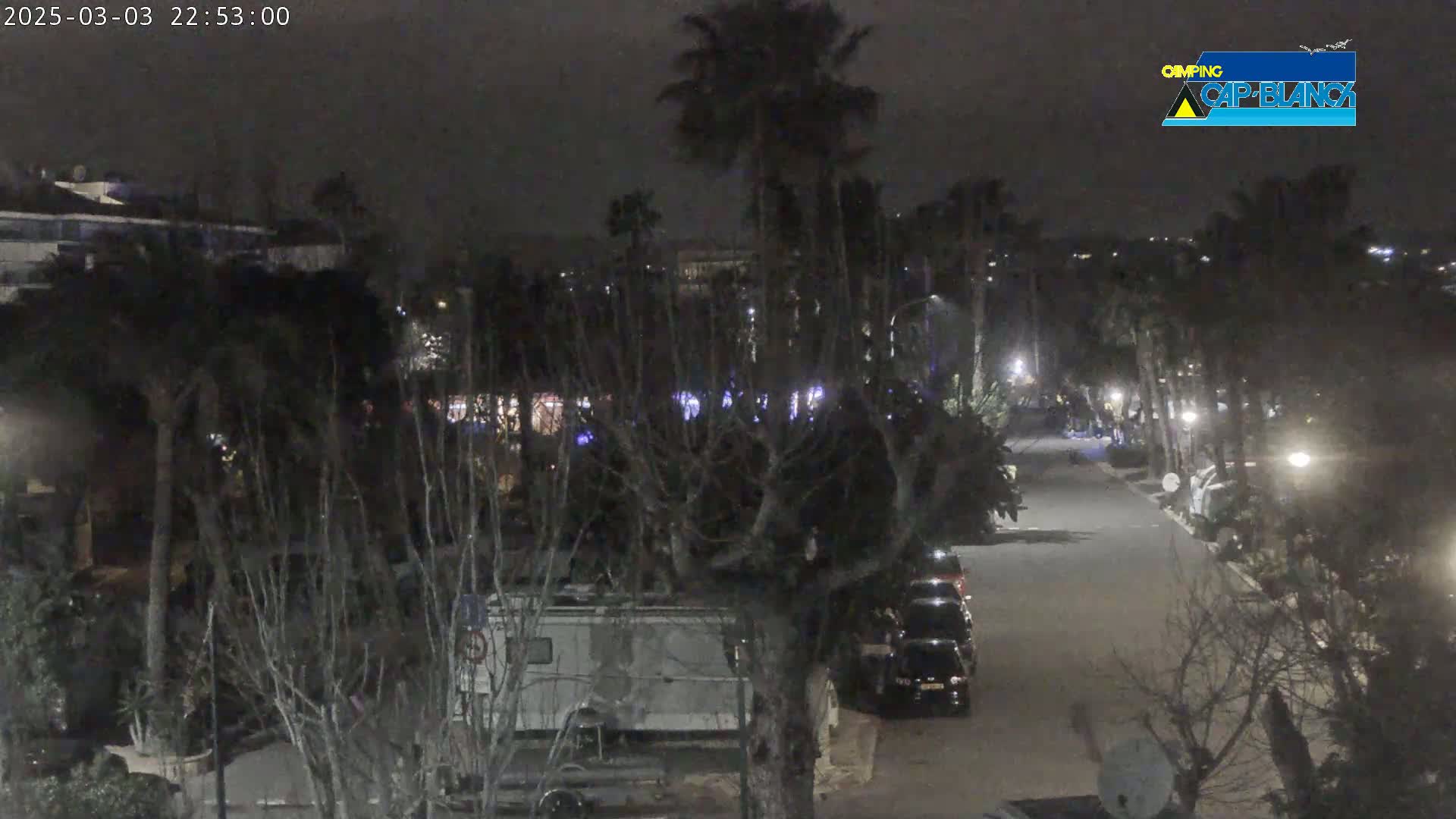 A nighttime view of a paved road lined with parked cars and trees, under a dark sky.