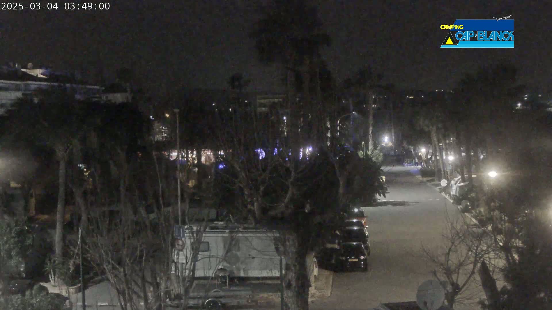 A nighttime, dimly lit street lined with parked cars and trees, showing a camper van and other vehicles.