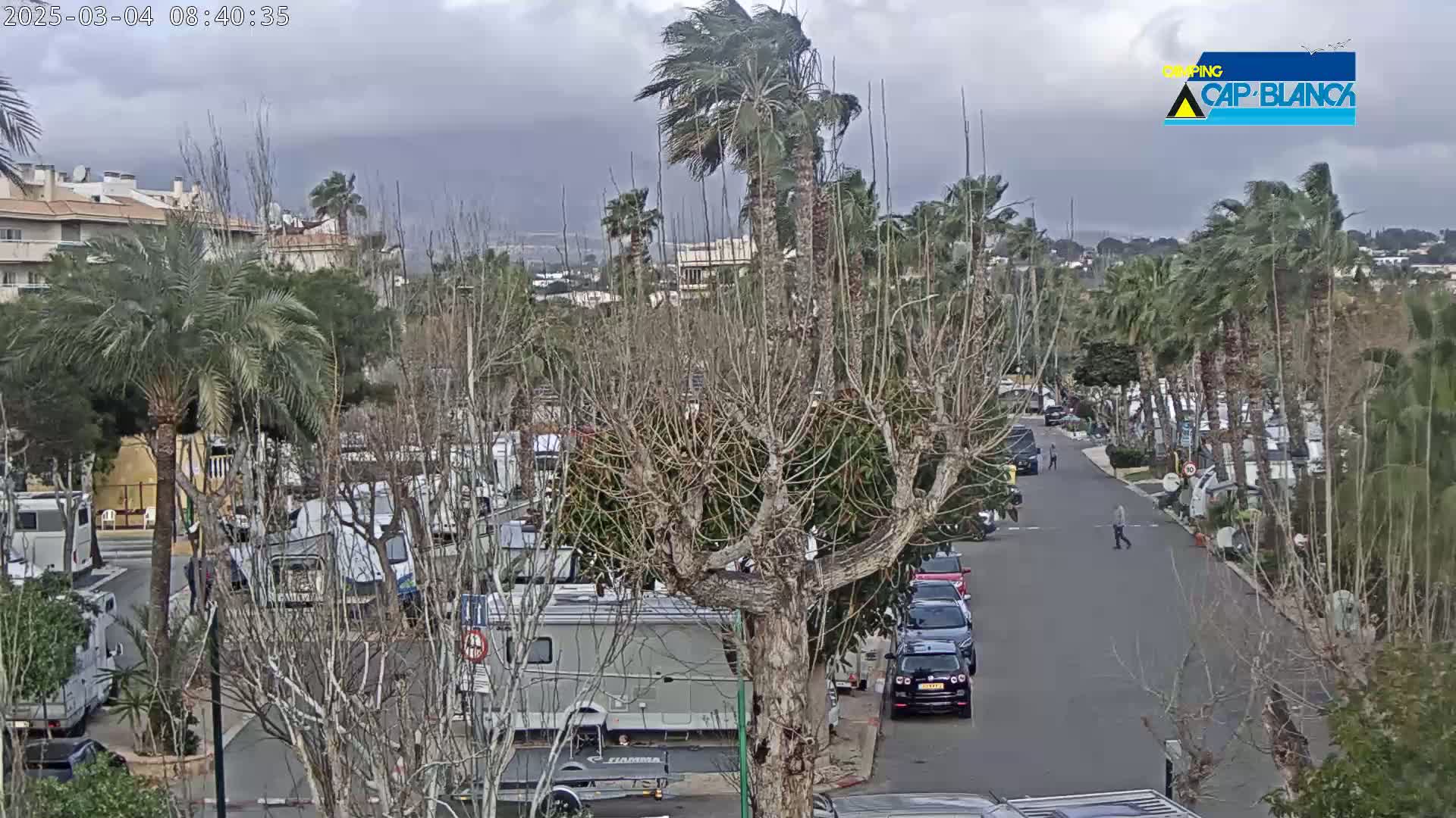 A windy, overcast day shows a parking lot filled with RVs and cars next to a road with a few pedestrians, surrounded by palm trees and bare deciduous trees.
