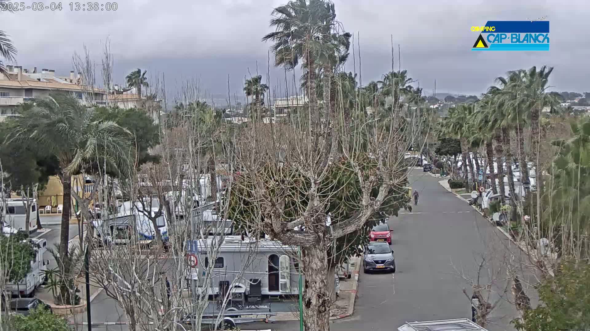 A paved road winds through a campground filled with RVs and surrounded by palm trees and bare deciduous trees under an overcast sky.