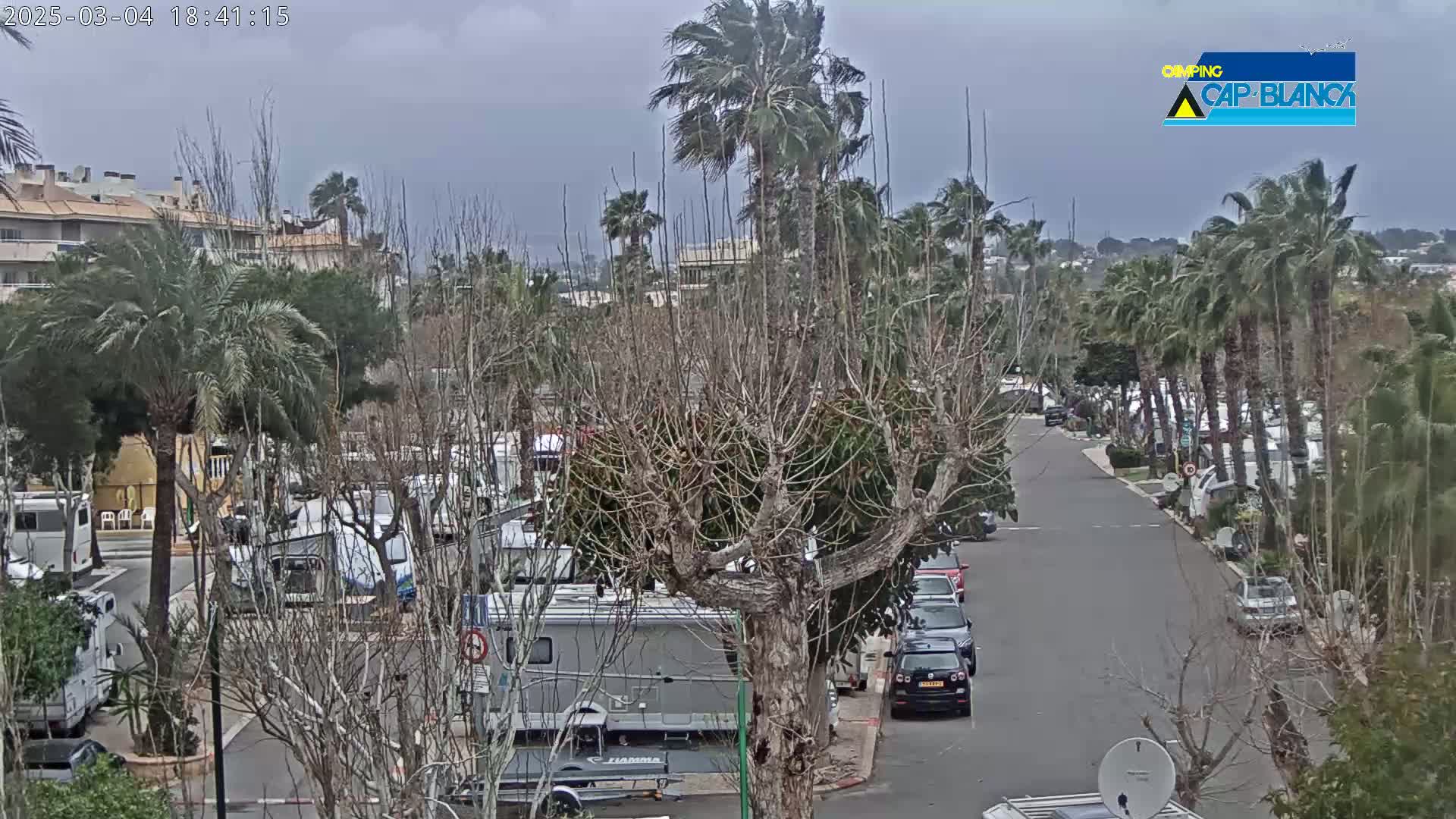 A windy, overcast day reveals a campground with numerous RVs and cars parked along a paved road, surrounded by palm trees and other vegetation.