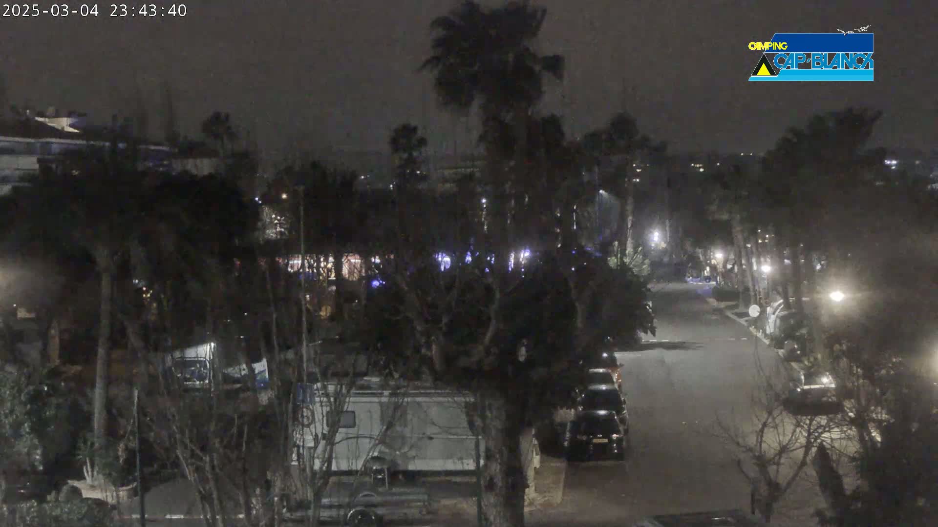 A nighttime street scene shows parked cars and RVs among leafless trees and palm trees under a dark, cloudy sky.
