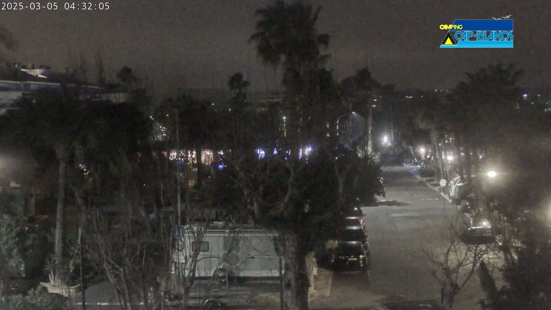 A nighttime street scene shows a residential area with palm trees and parked vehicles under dark, cloudy skies.