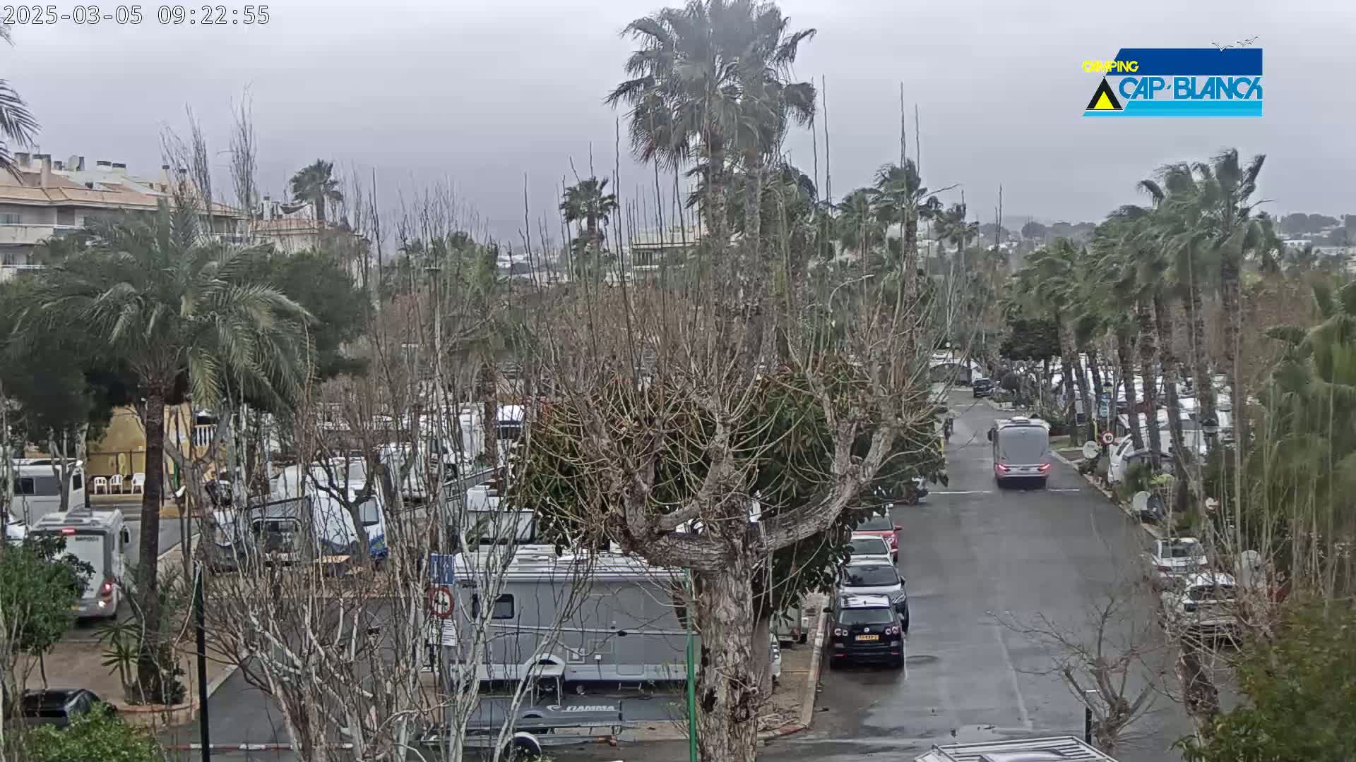 A parking lot filled with campervans and cars under an overcast sky, with palm trees swaying in the wind on a rainy day.