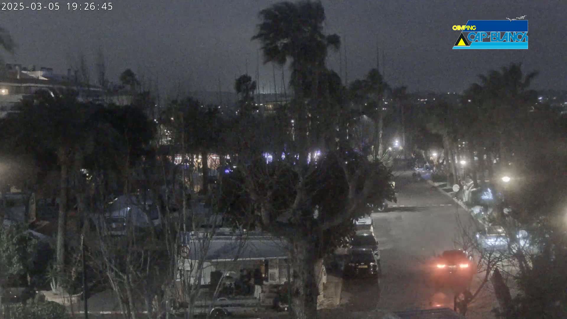 A nighttime, windy scene shows a street lined with palm trees and parked cars, with a few vehicles driving along the road.