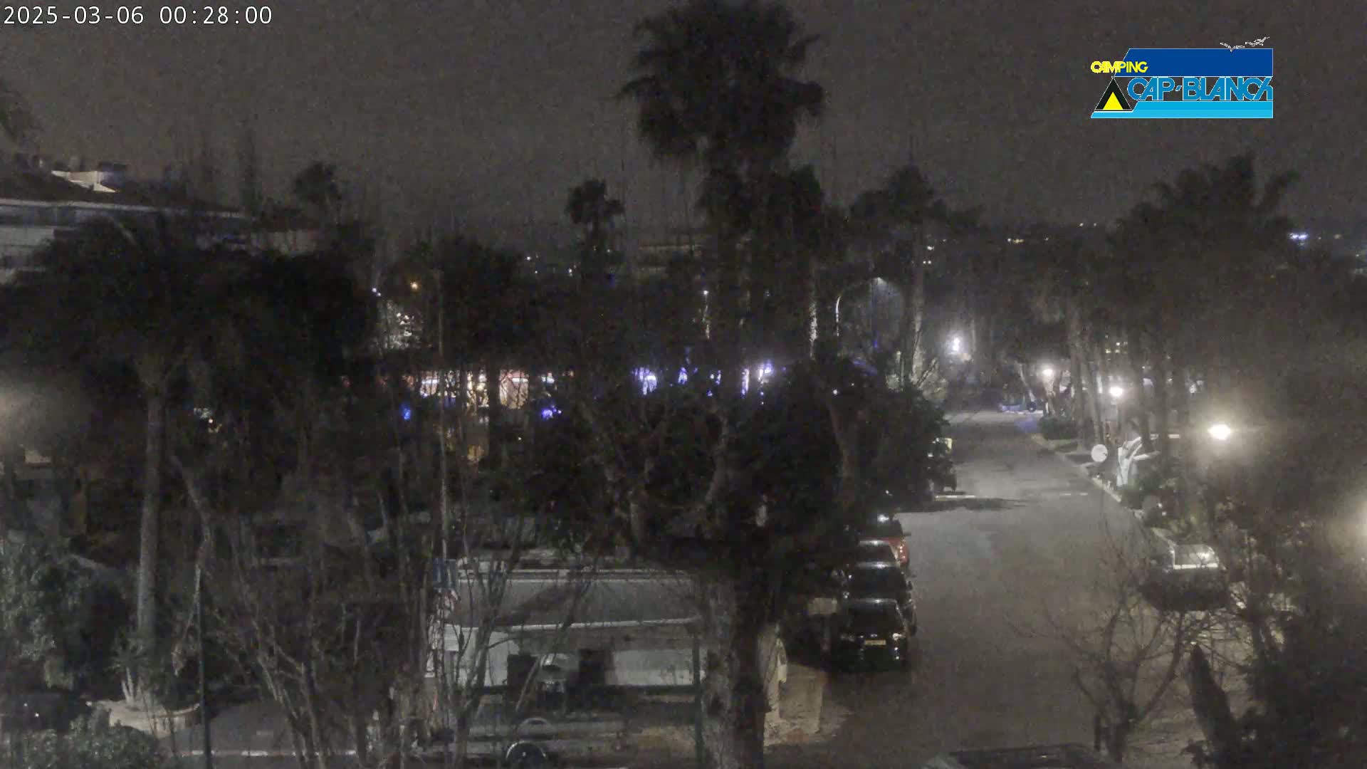 A nighttime, dimly lit street lined with palm trees and parked cars, under a dark sky.