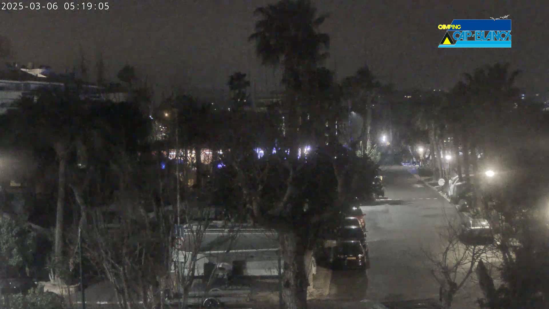 A nighttime view of a dark street lined with palm trees and parked vehicles, under a cloudy sky.
