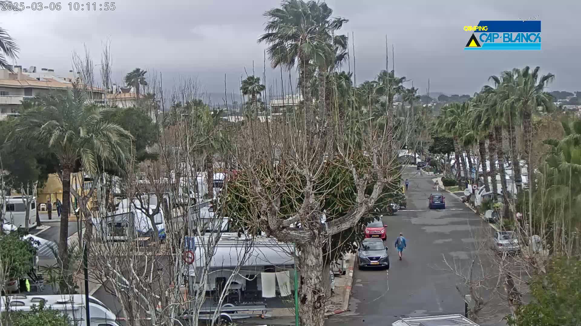 A paved road winds through a campground filled with RVs and surrounded by palm trees and other vegetation under an overcast sky.