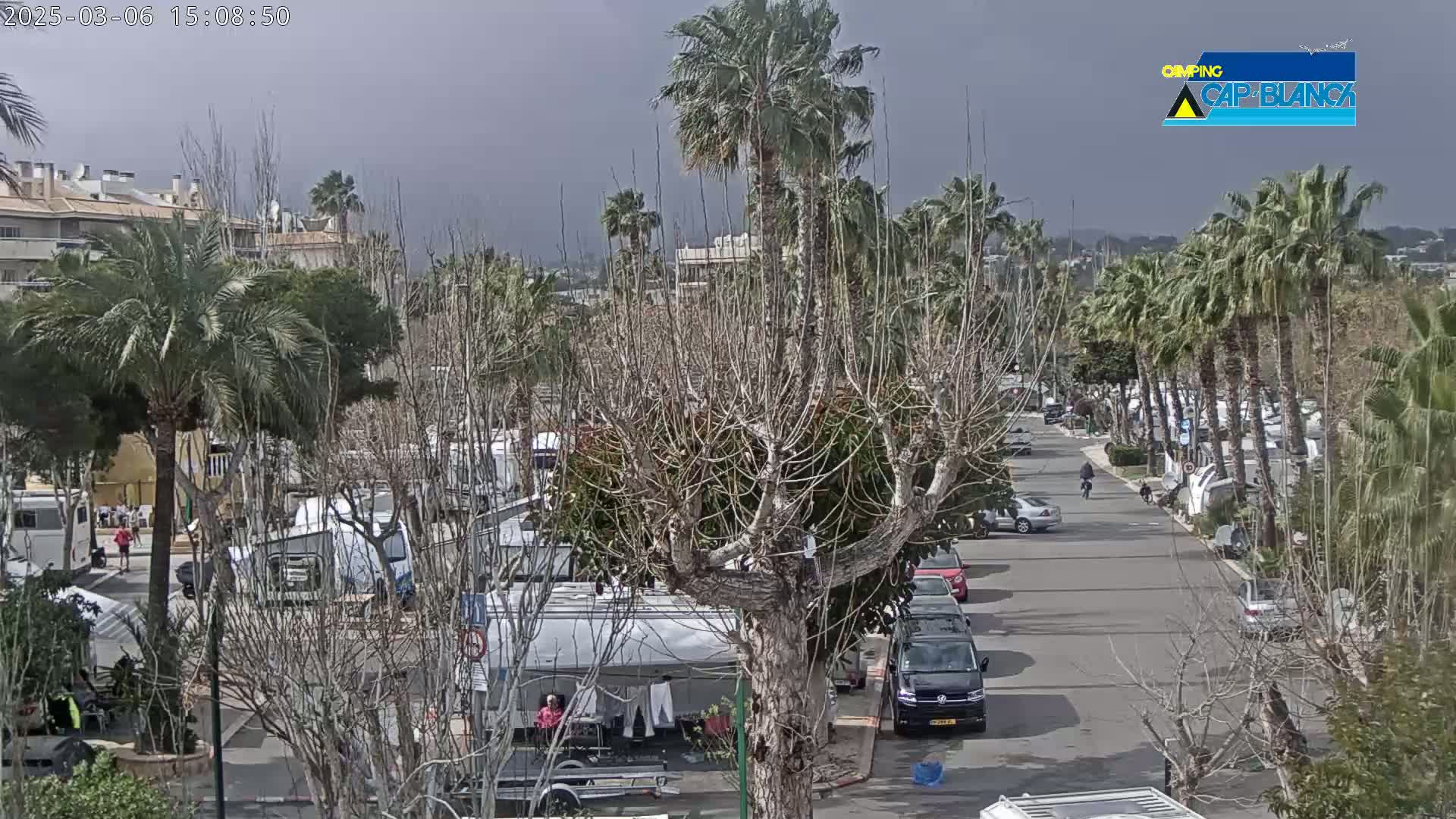 A street lined with palm trees and parked recreational vehicles is visible under an overcast sky.