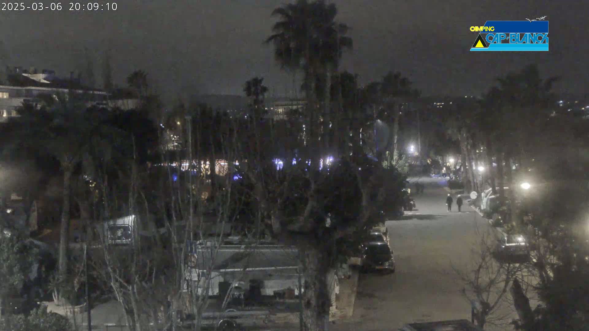 A nighttime, dimly lit street lined with palm trees and parked vehicles, with two pedestrians walking in the distance.