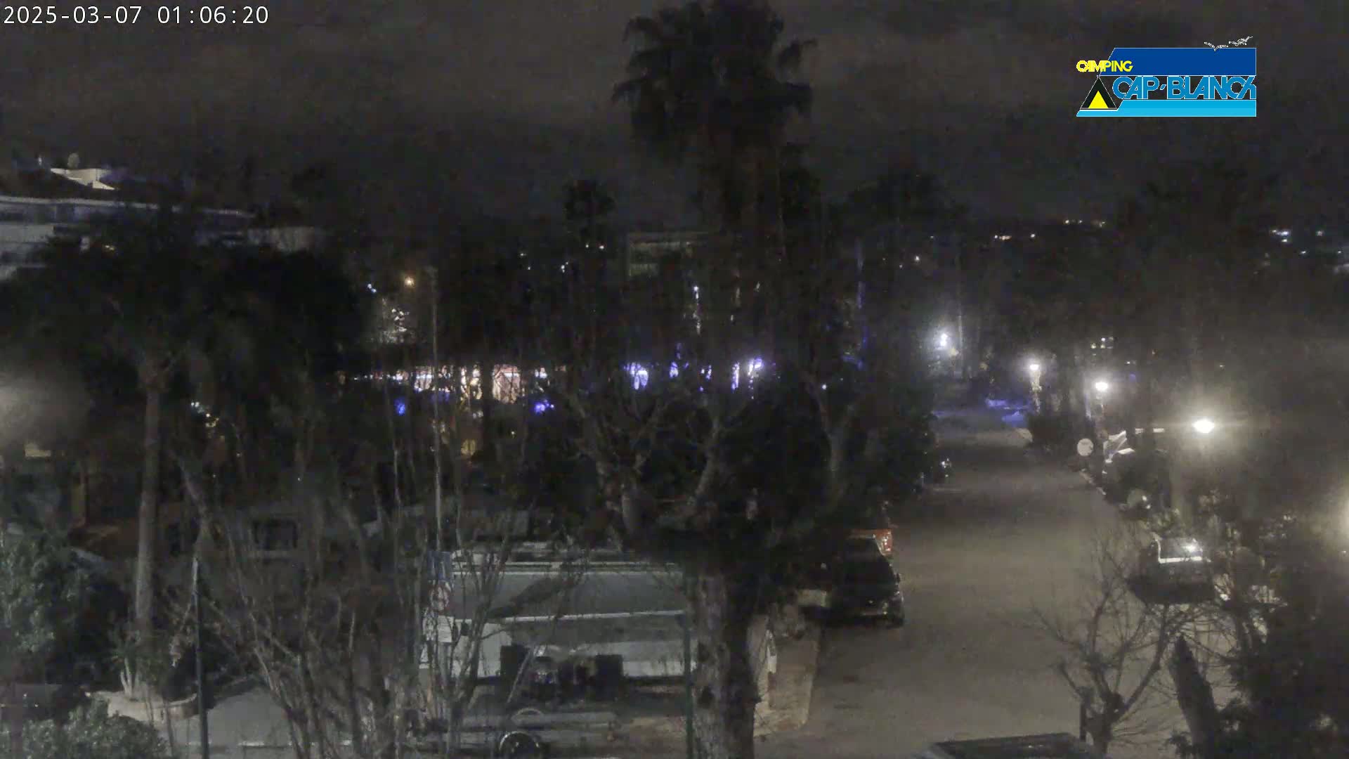 A nighttime view of a street lined with parked cars and trees, under a dark, cloudy sky.