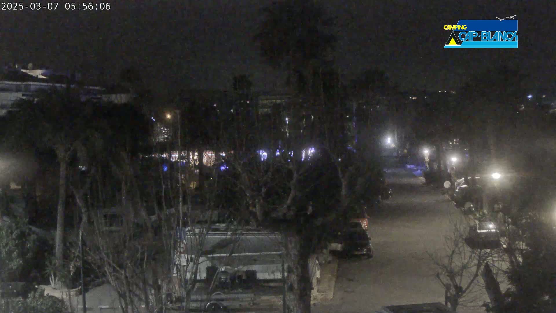 A nighttime view of a street lined with parked vehicles and trees, under a clear, dark sky.
