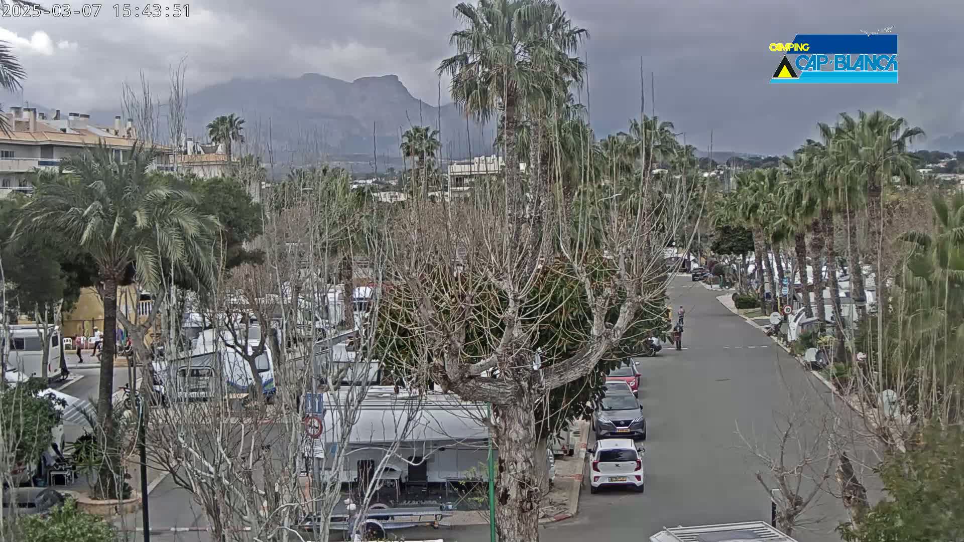 A street scene on an overcast day shows numerous RVs parked among palm trees and other vegetation, with cars parked along a road, mountains in the background.
