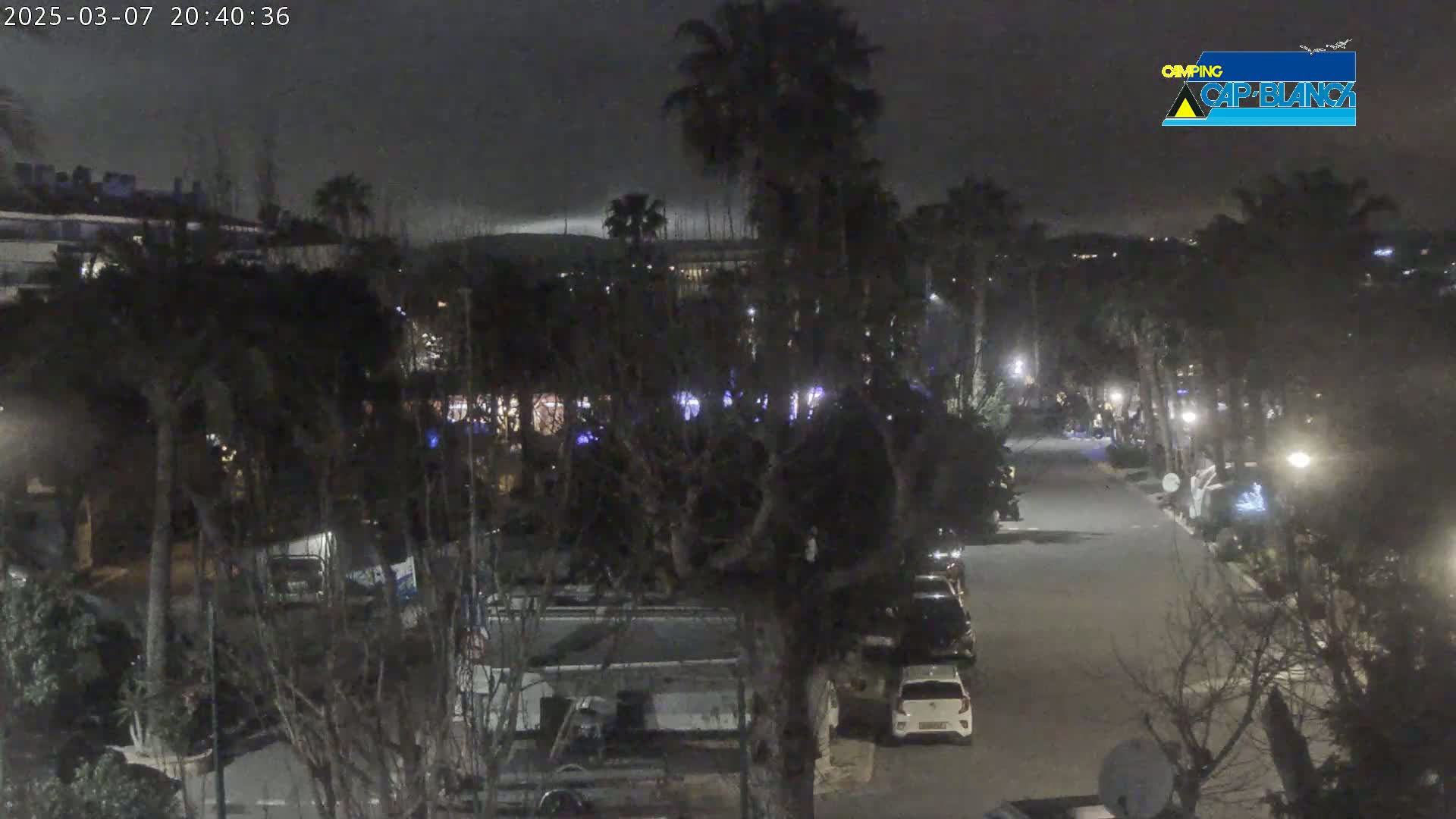 A nighttime, overcast view of a street lined with palm trees and parked cars, with several buildings and trees visible in the background.
