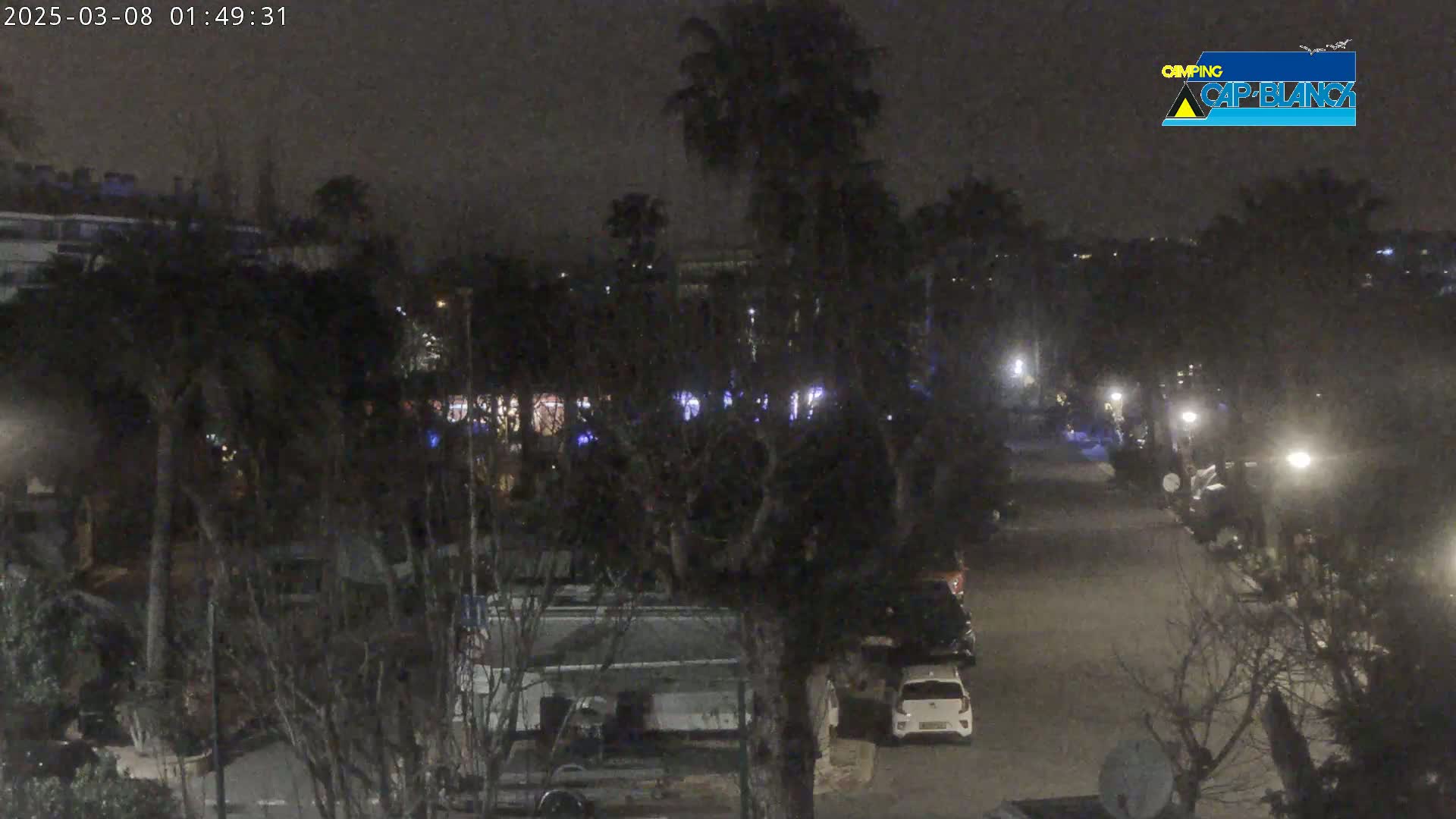A nighttime street scene shows several parked cars and a few streetlights illuminating a road lined with trees under a dark, clear sky.