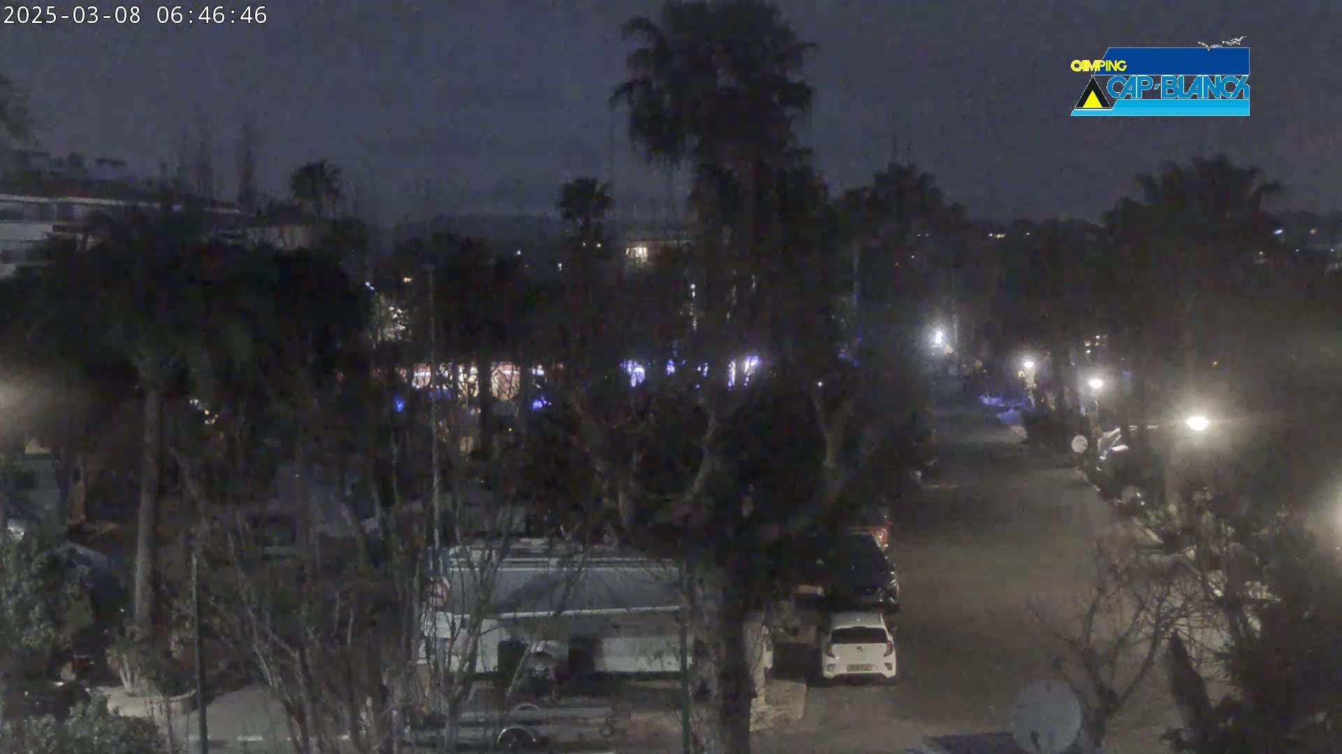 A nighttime, dimly lit street scene shows parked cars and RVs among dark trees and shrubs under a cloudy sky.