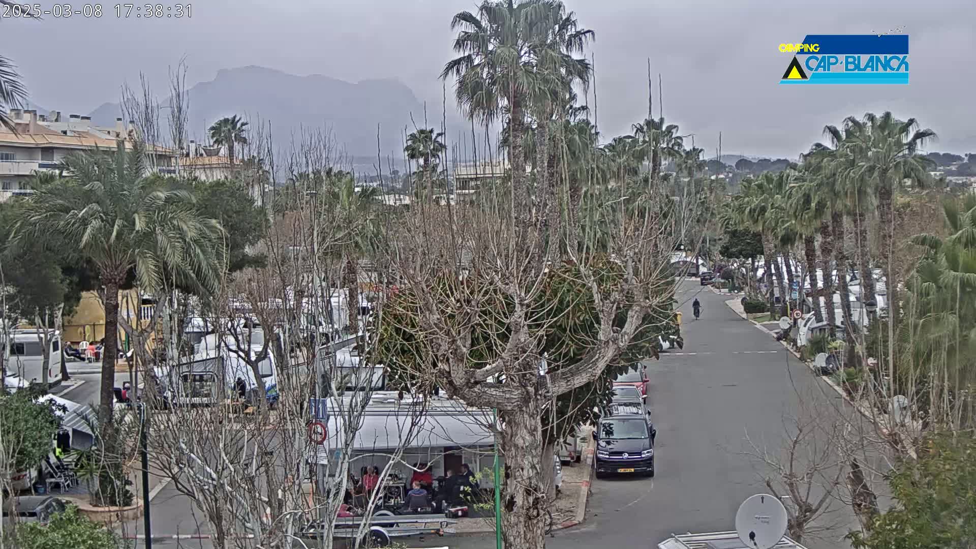 A cloudy day in a campground with numerous RVs, palm trees, and bare deciduous trees, situated near mountains in the distance.