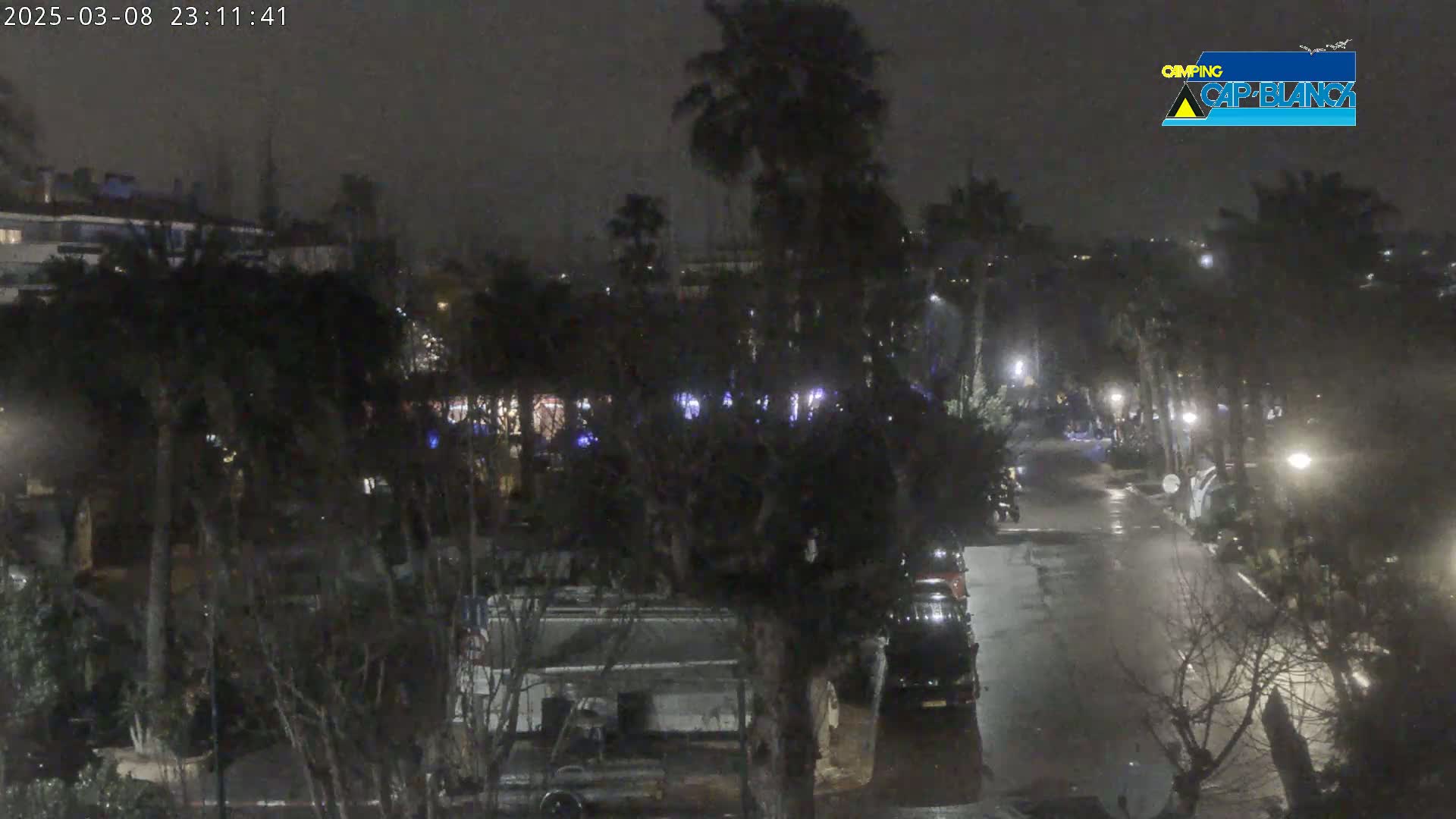 A nighttime, wet street scene shows a road lined with palm trees and parked cars under dim lighting.