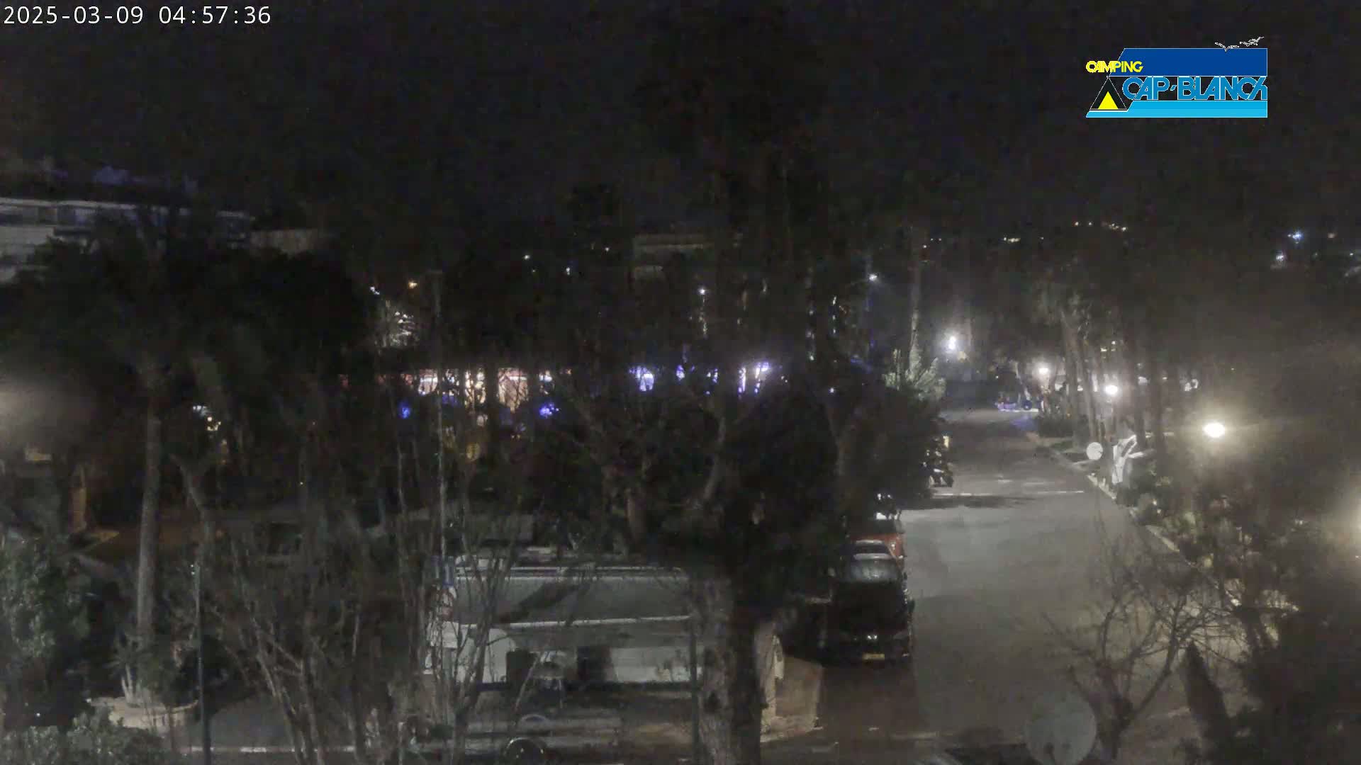 A nighttime view of a parking lot and road lined with trees and buildings under dark skies.