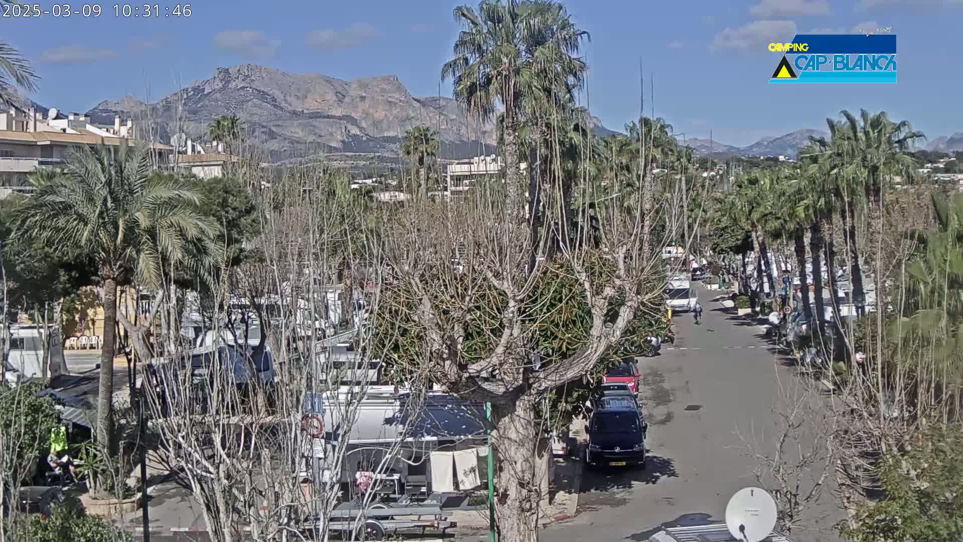A sunny day reveals a street lined with palm trees and RVs parked near buildings, with mountains in the background.