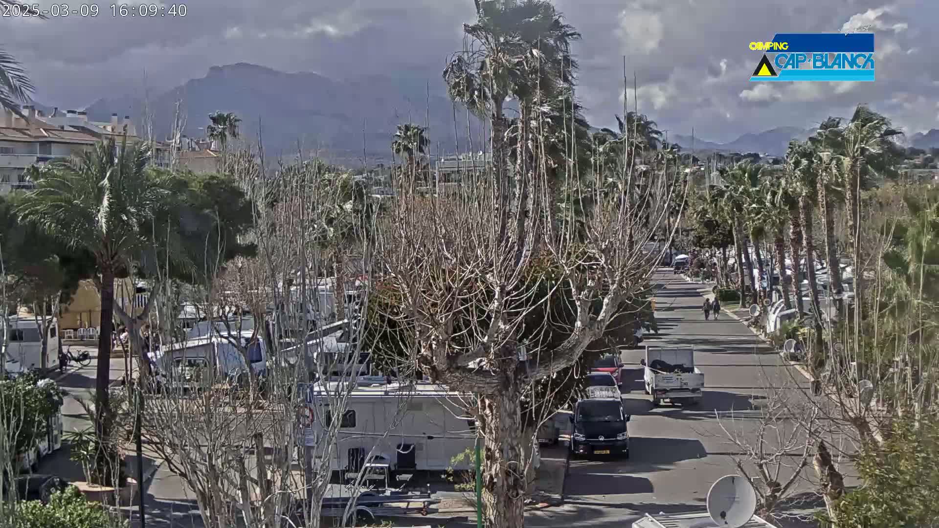 A paved road lined with palm trees and RVs winds through a campground, with mountains in the background under a partly cloudy sky.