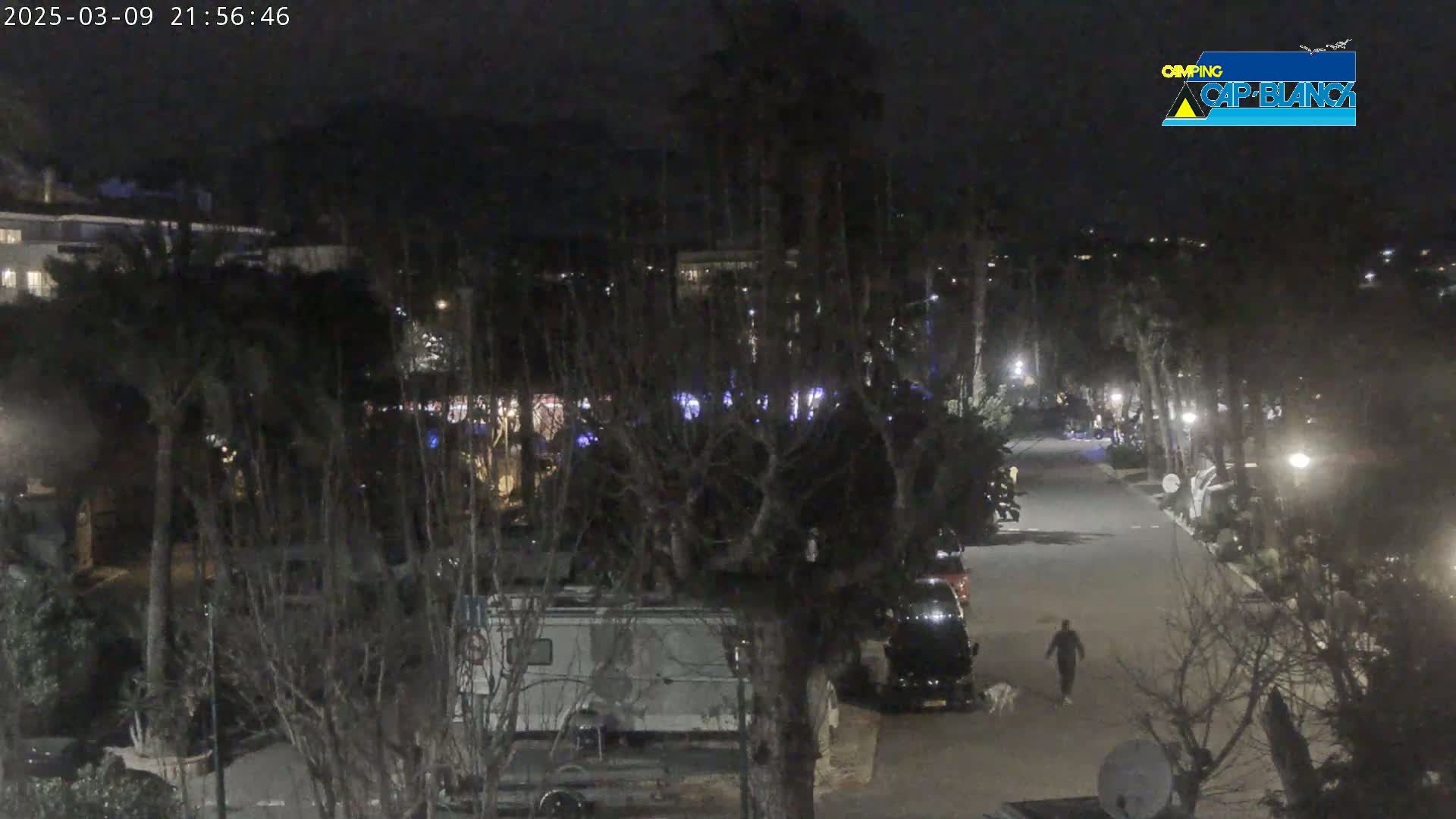 A nighttime view of a paved road in a campground, with parked vehicles and a person walking a dog under the cover of darkness.