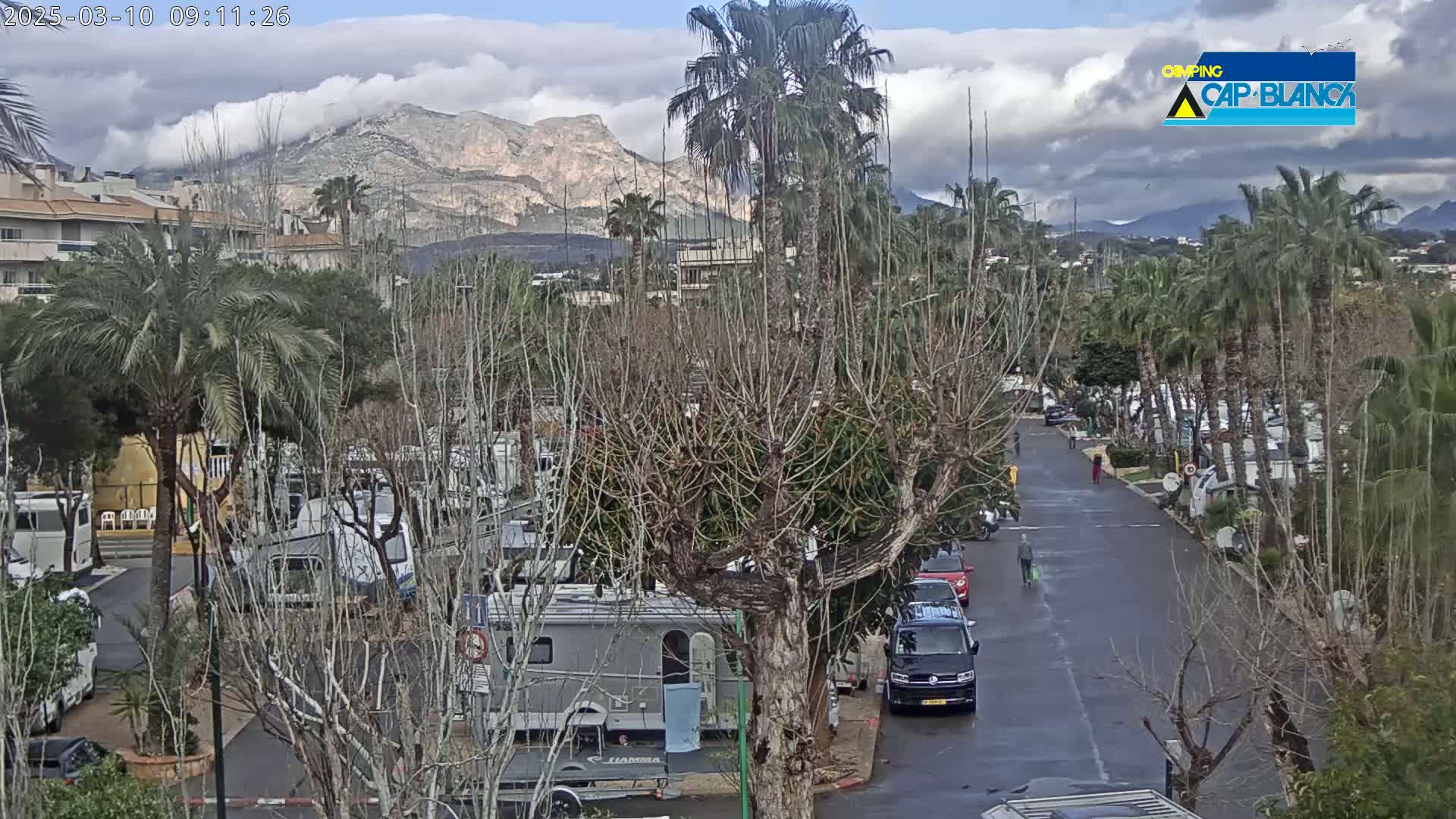 A wet road winds through a campground filled with RVs and palm trees, with mountains in the background under a cloudy sky.