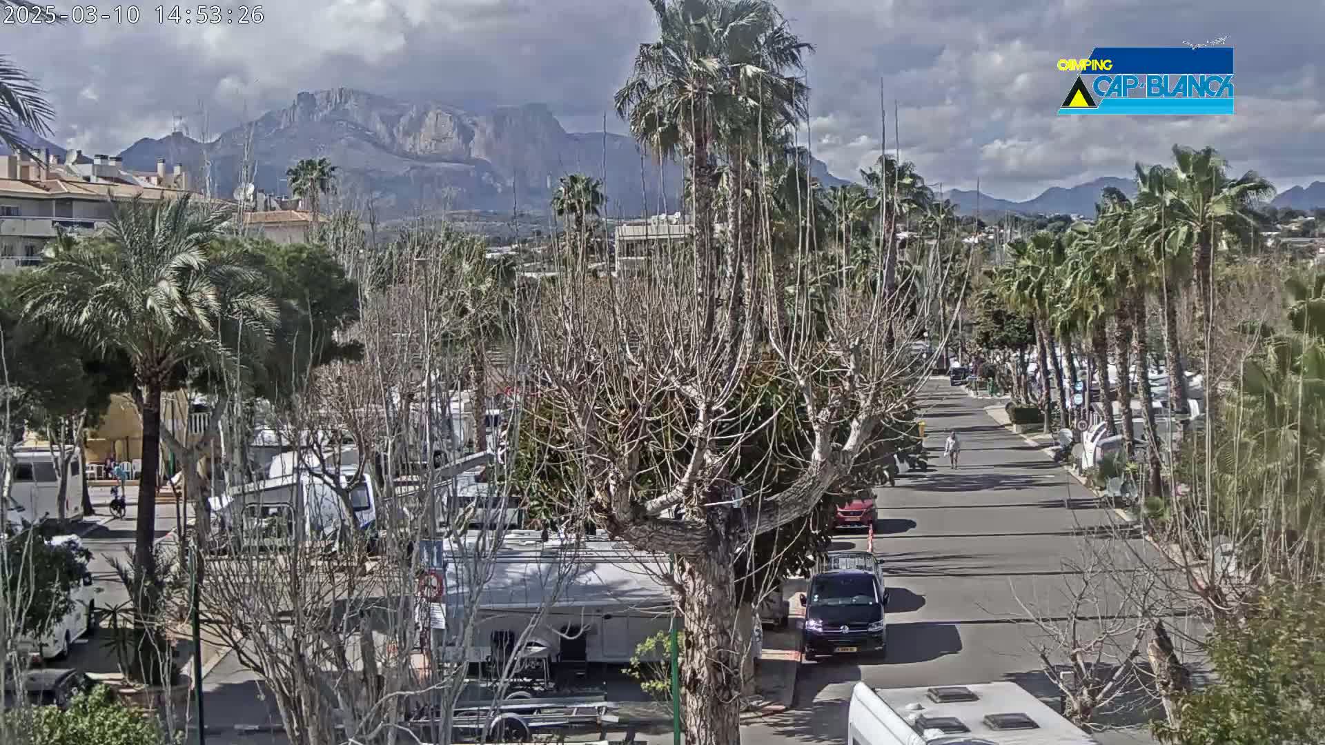 A partly cloudy day reveals a street lined with palm trees and recreational vehicles, with mountains in the distance.