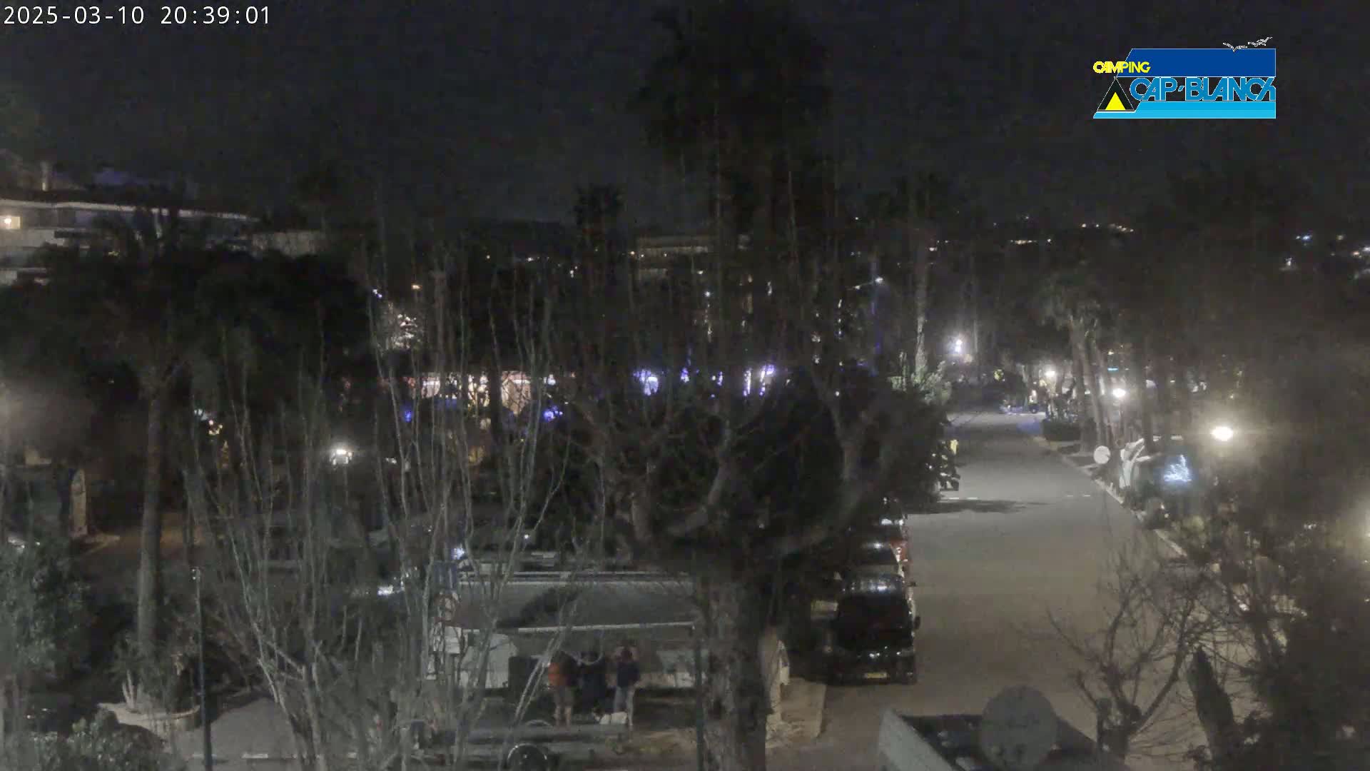 A nighttime, dimly lit view of a road winding through a parking area among trees and buildings.