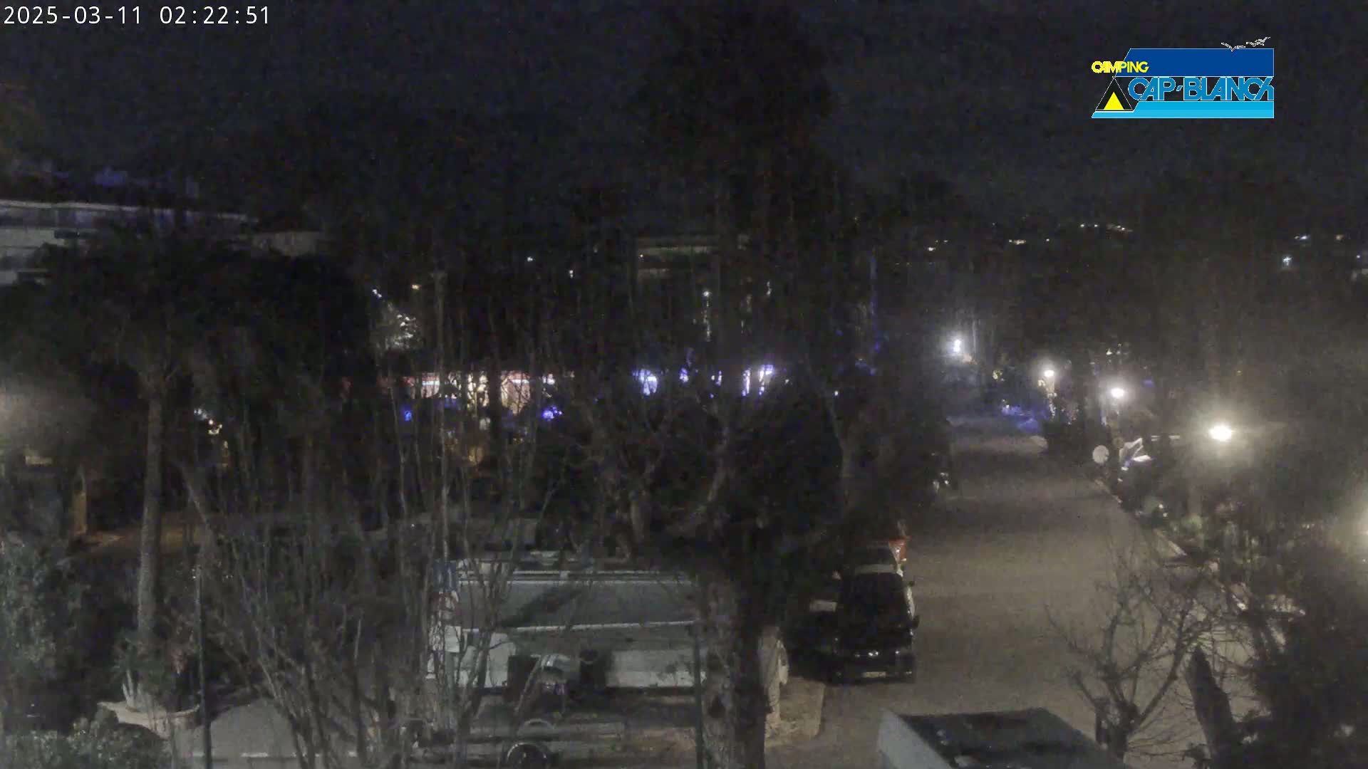 A nighttime view of a street lined with parked vehicles and trees, illuminated by streetlights.