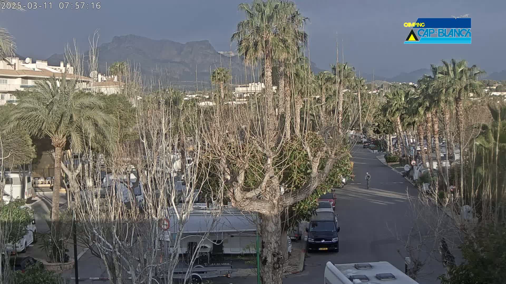 A mostly sunny day reveals a parking lot full of RVs and cars next to a road lined with palm trees and leafless trees, with mountains in the background.