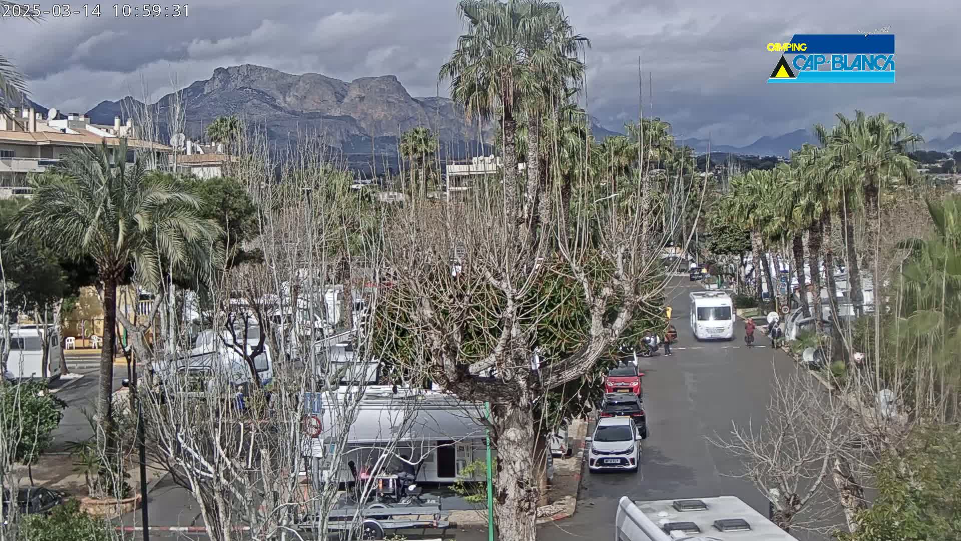A street scene with numerous RVs parked, a few cars driving, and palm trees and bare deciduous trees lining a road leading toward mountains under a cloudy sky.