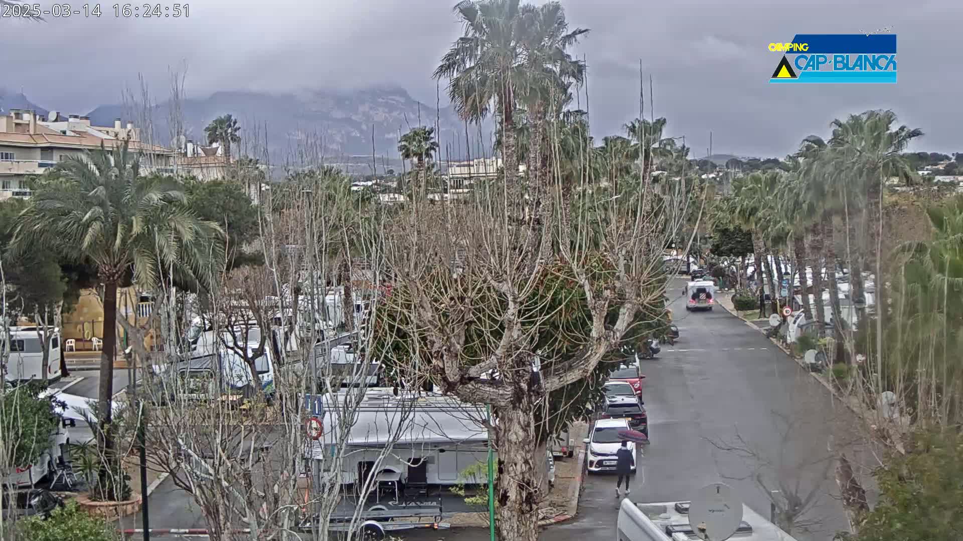 A rain-soaked street lined with parked recreational vehicles and palm trees leads toward a mountainous backdrop.
