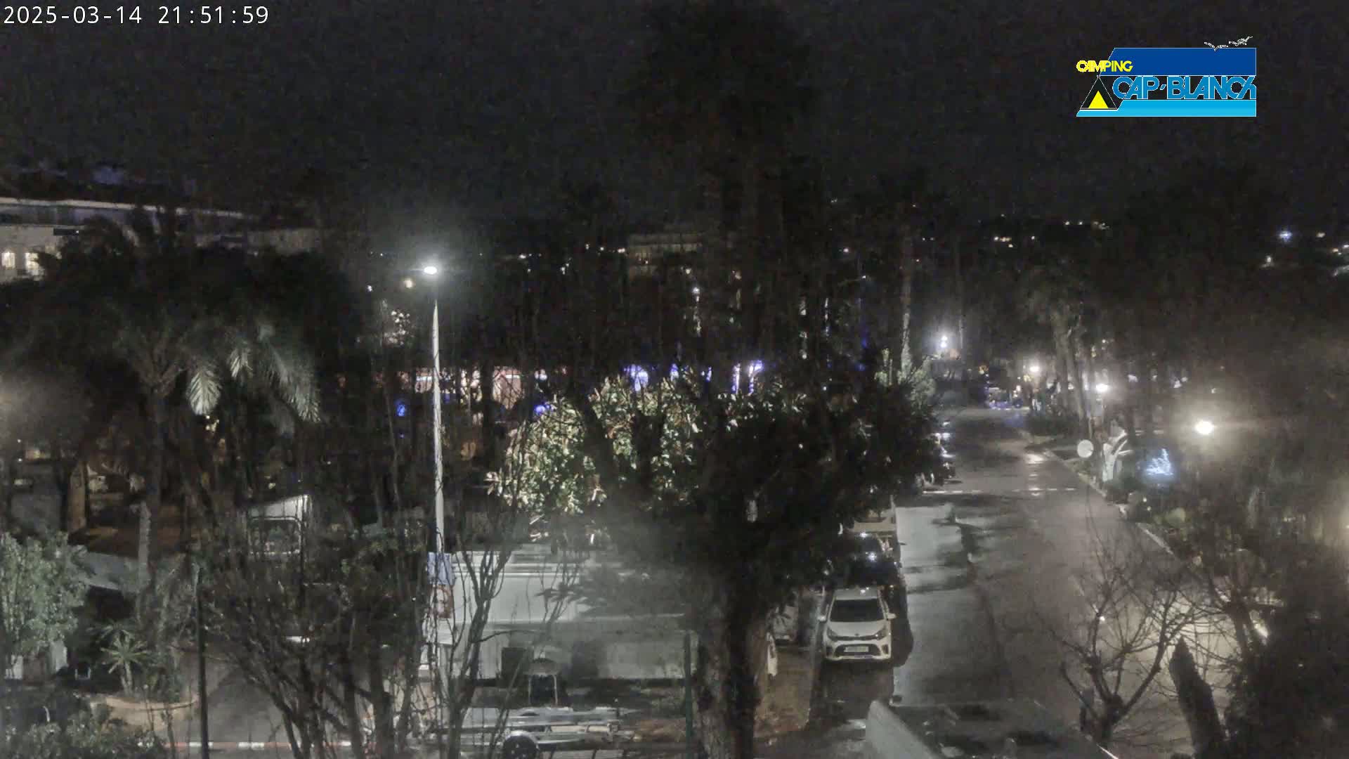 A nighttime view of a street lined with palm trees and parked cars, under a clear, dark sky.