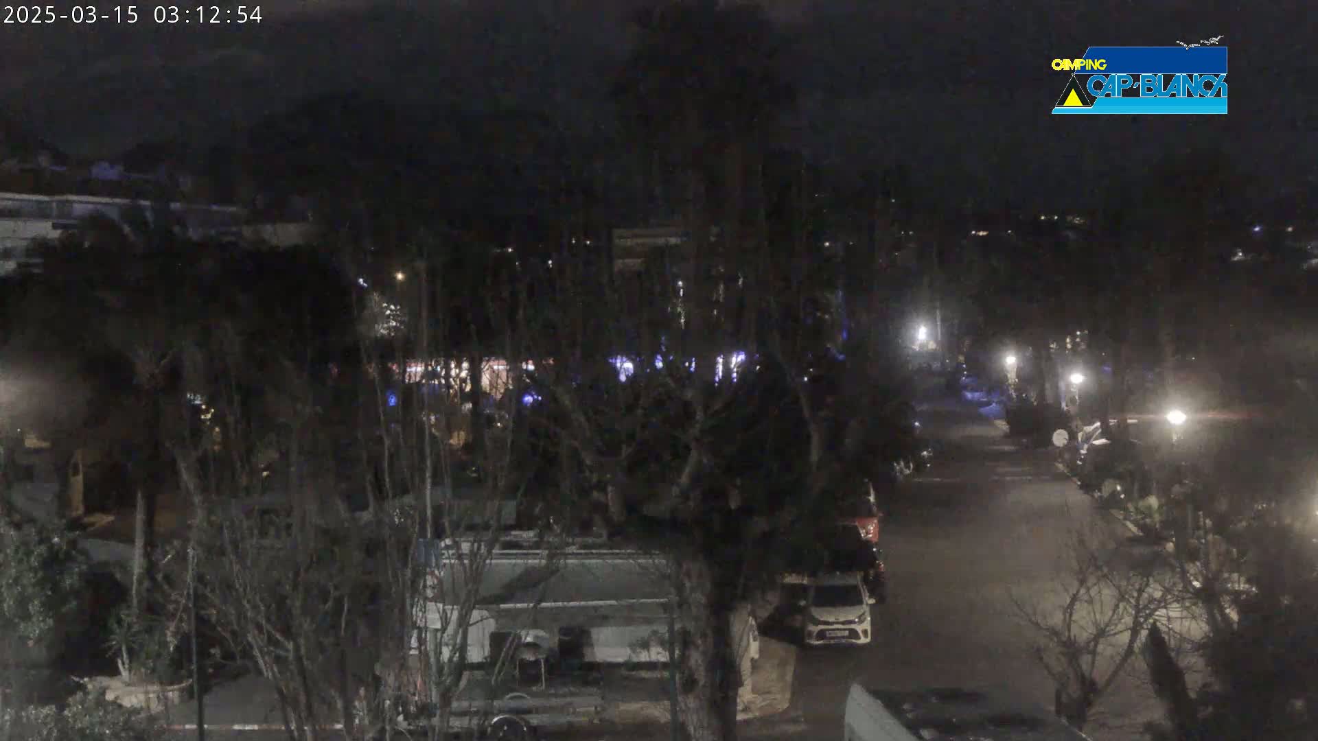 A nighttime view of a street lined with trees and parked vehicles, illuminated by streetlights.