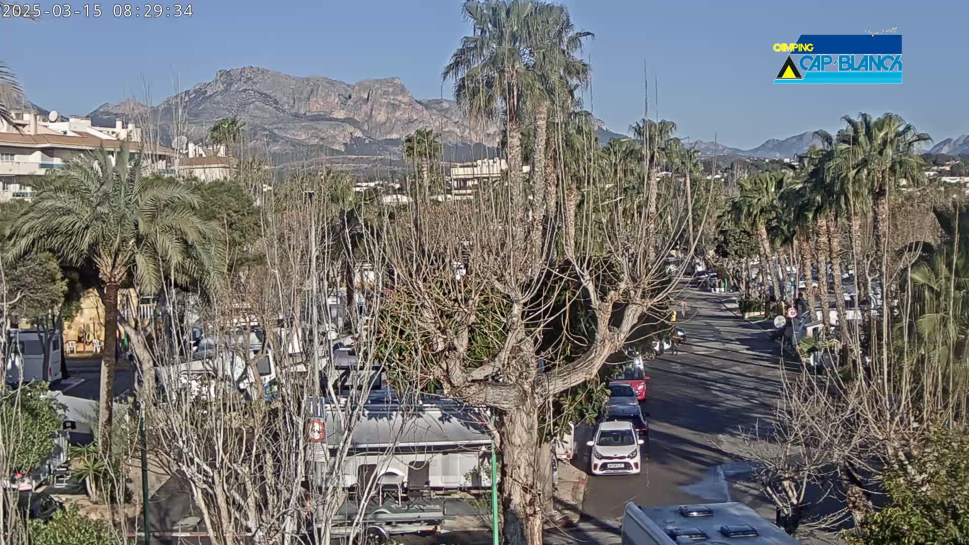 A sunny day overlooking a street lined with palm trees and recreational vehicles, with bare deciduous trees and mountains in the background.