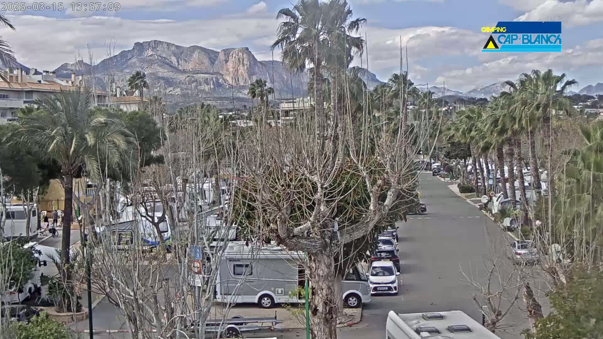 A parking lot filled with recreational vehicles is situated below a row of palm trees and bare deciduous trees, with mountains visible in the background under a partly cloudy sky.