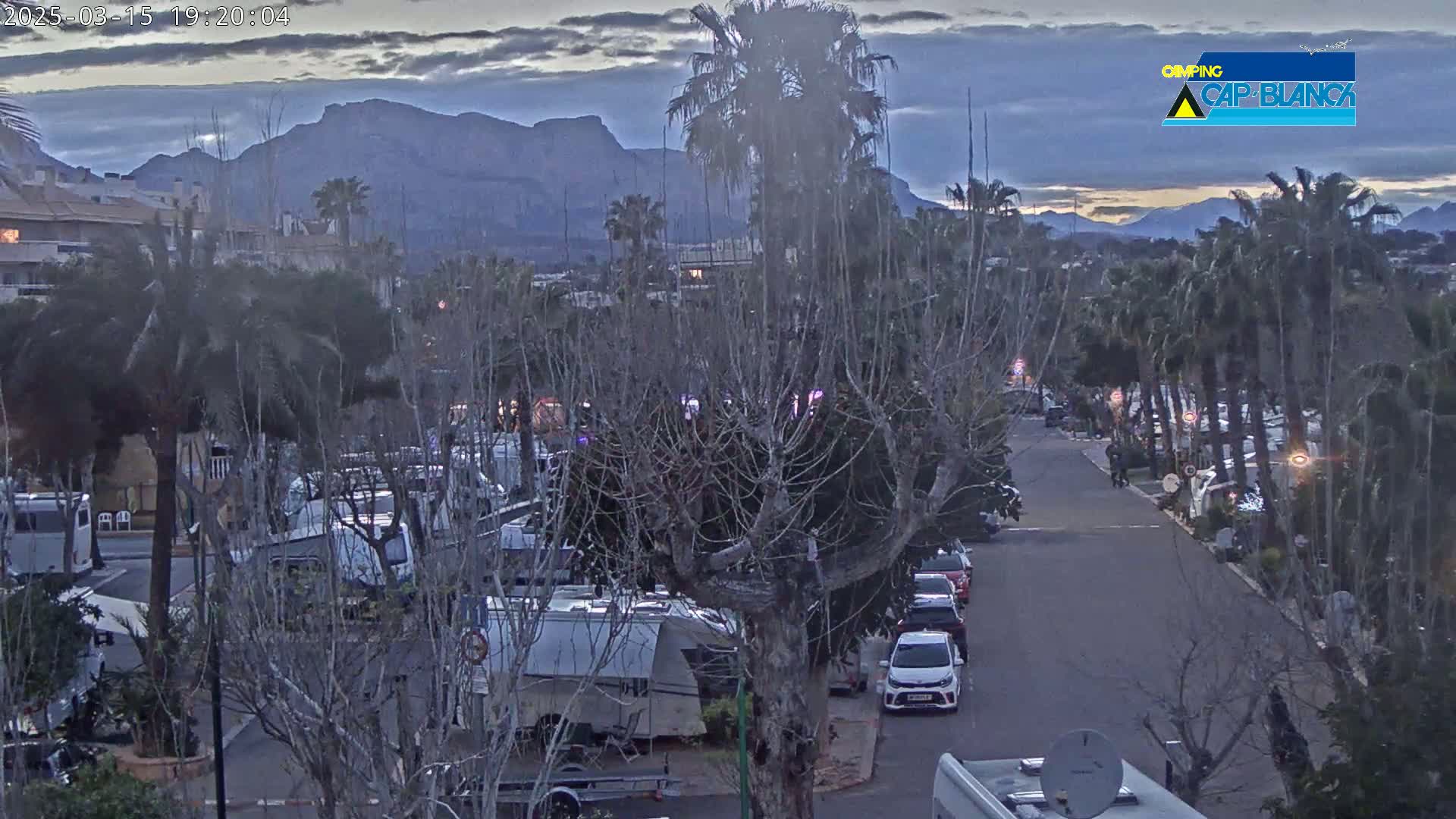 A street lined with palm trees and RVs, under an overcast sky, leads toward distant mountains.