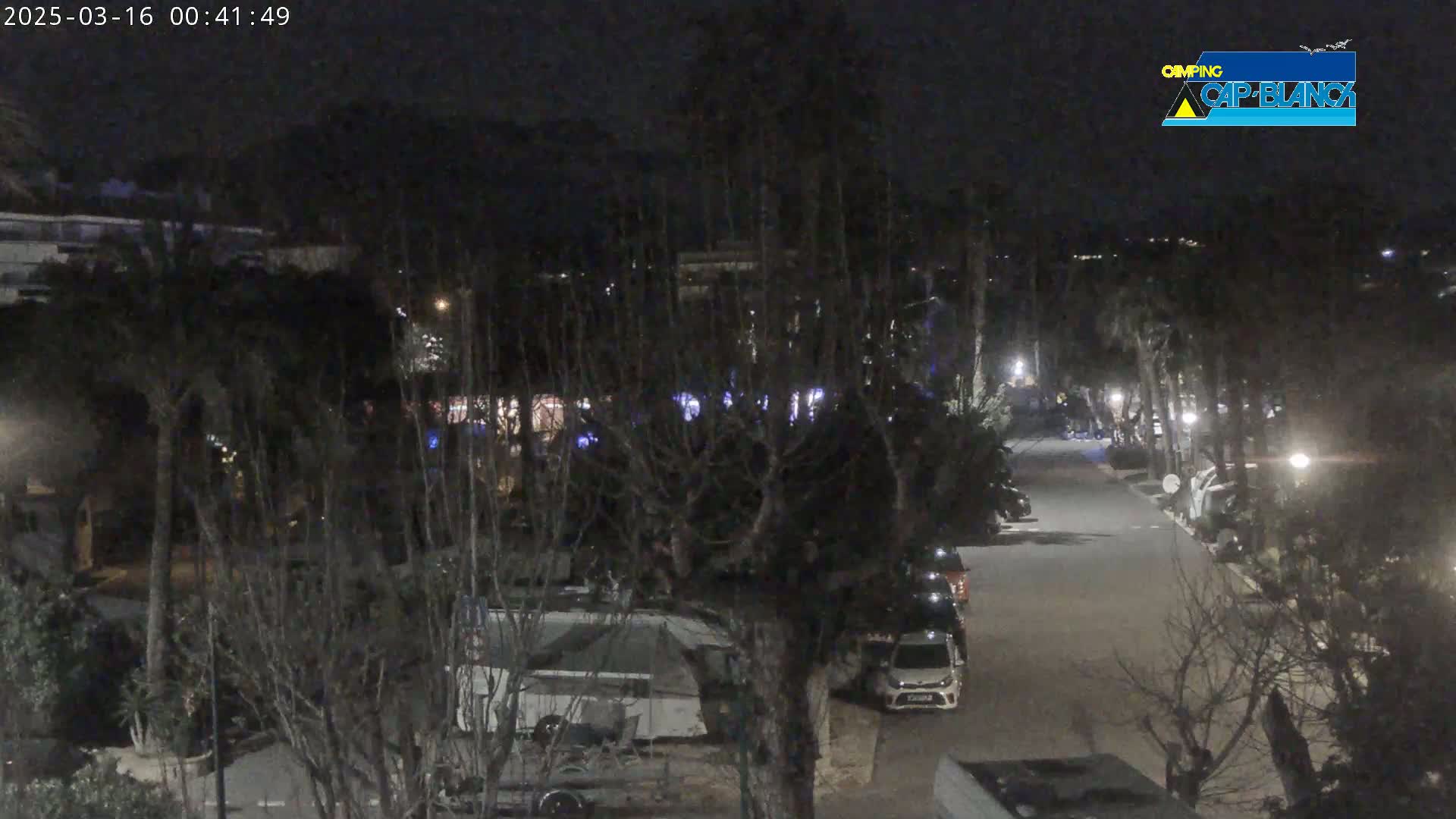 A nighttime view of a street lined with parked cars and RVs, surrounded by trees and buildings under a dark sky.