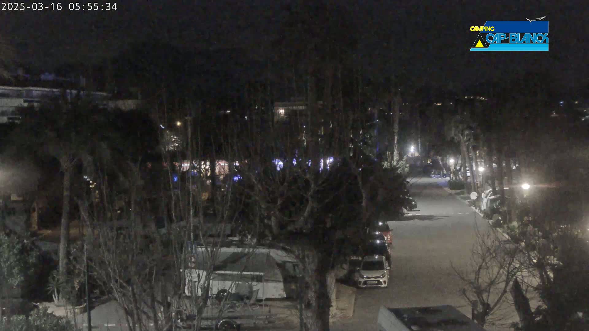 A nighttime view of a paved road lined with parked cars and RVs, surrounded by dark trees and vegetation under a clear, dark sky.