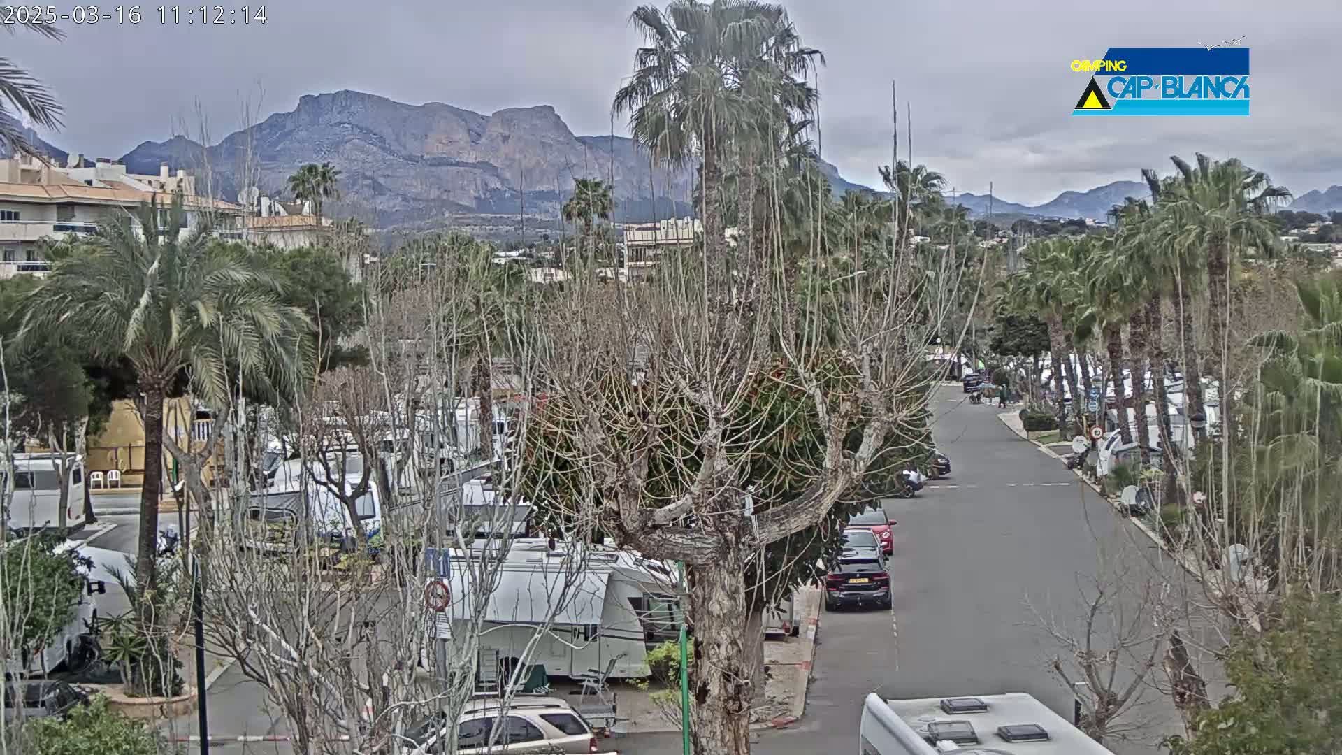 A street lined with RVs and palm trees under an overcast sky, with mountains in the background.
