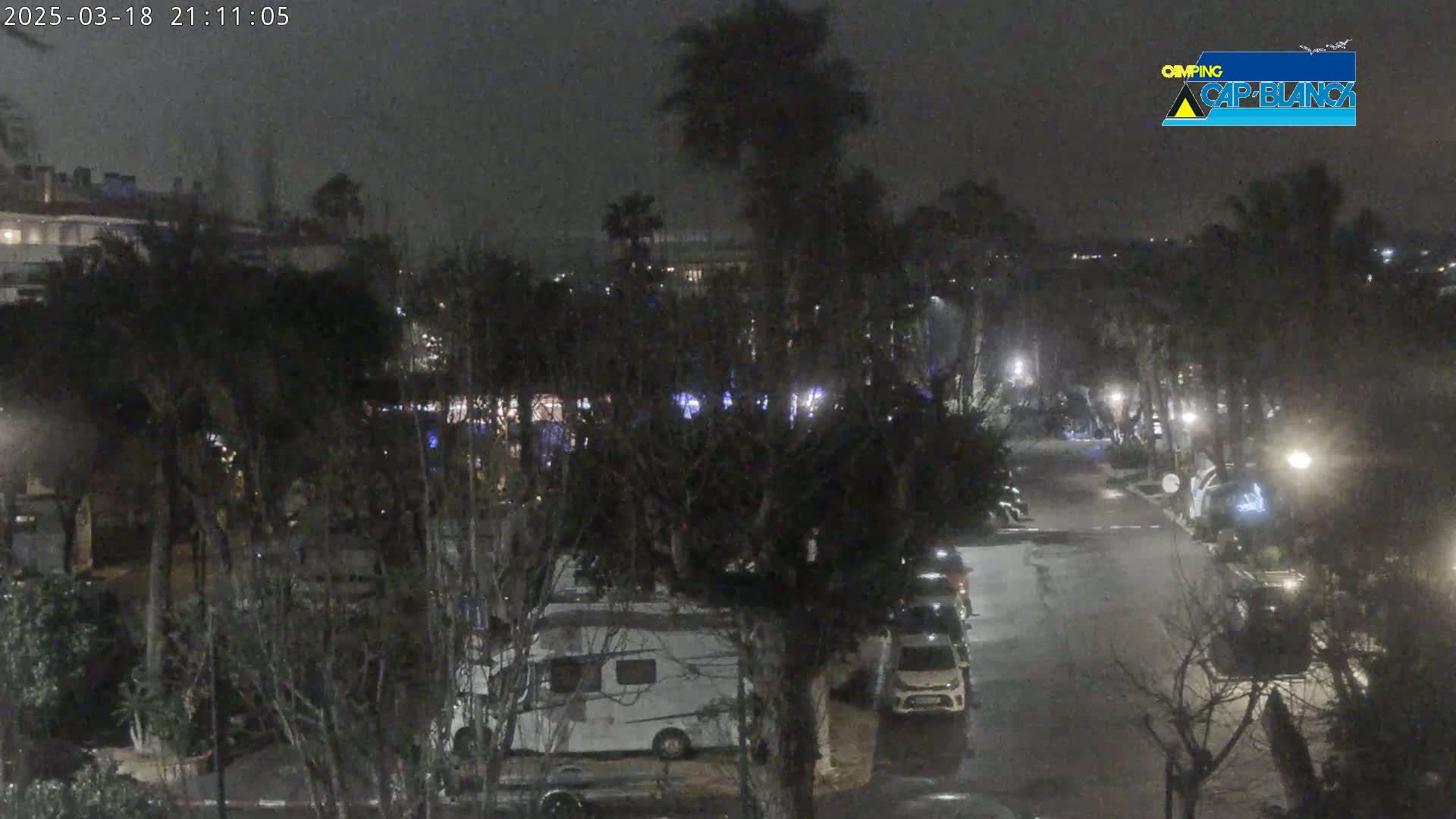 A nighttime, dimly lit scene shows a street lined with palm trees and parked vehicles, including a campervan, under an overcast sky.