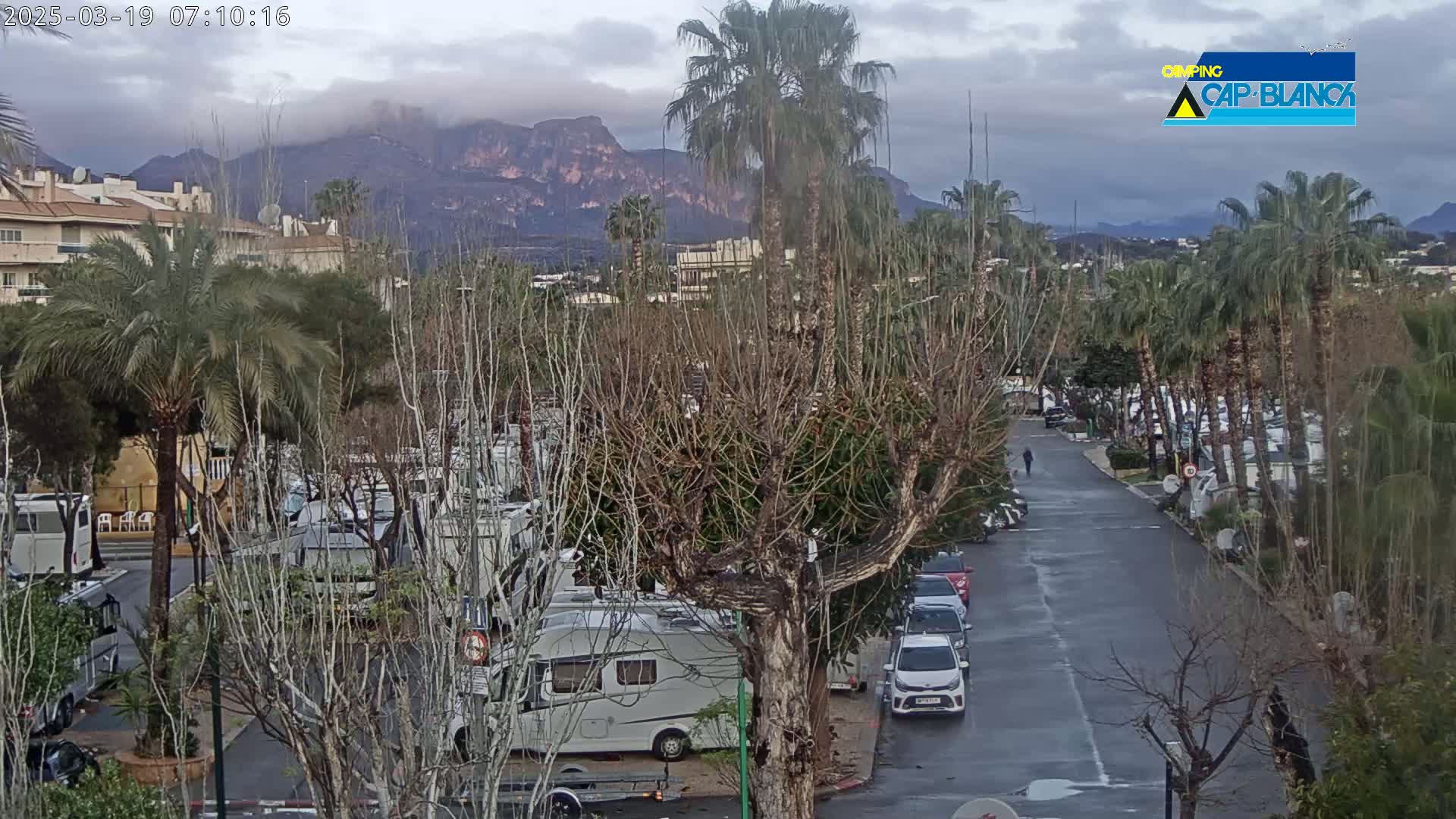 A wet road winds through a campground surrounded by palm trees and bare trees, with mountains in the background under a cloudy sky.